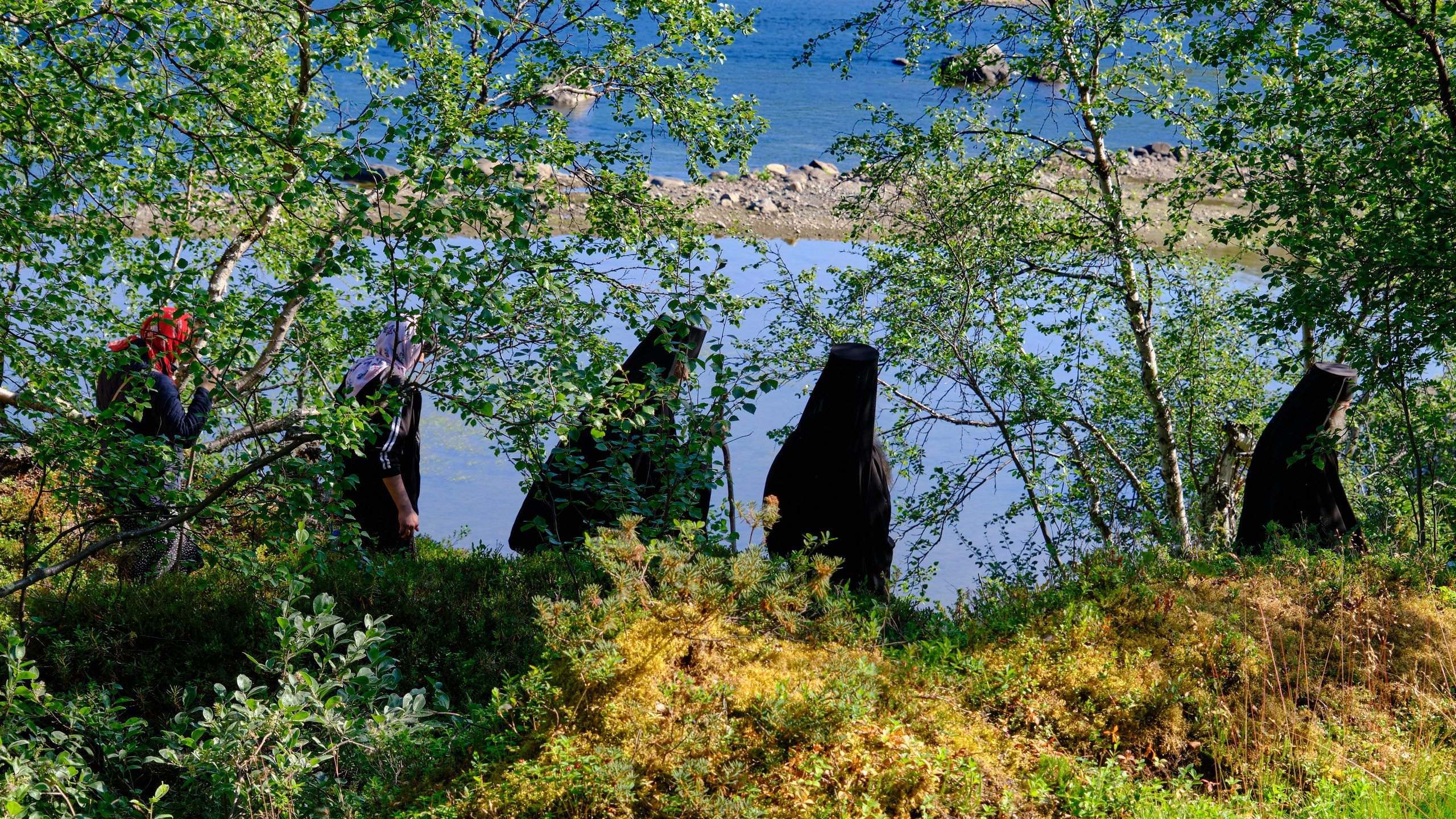 Печенга — край сосновой реки. Пейзажи Крайнего Севера. Баренцево море, Рыбачий, Средний, Немецкий