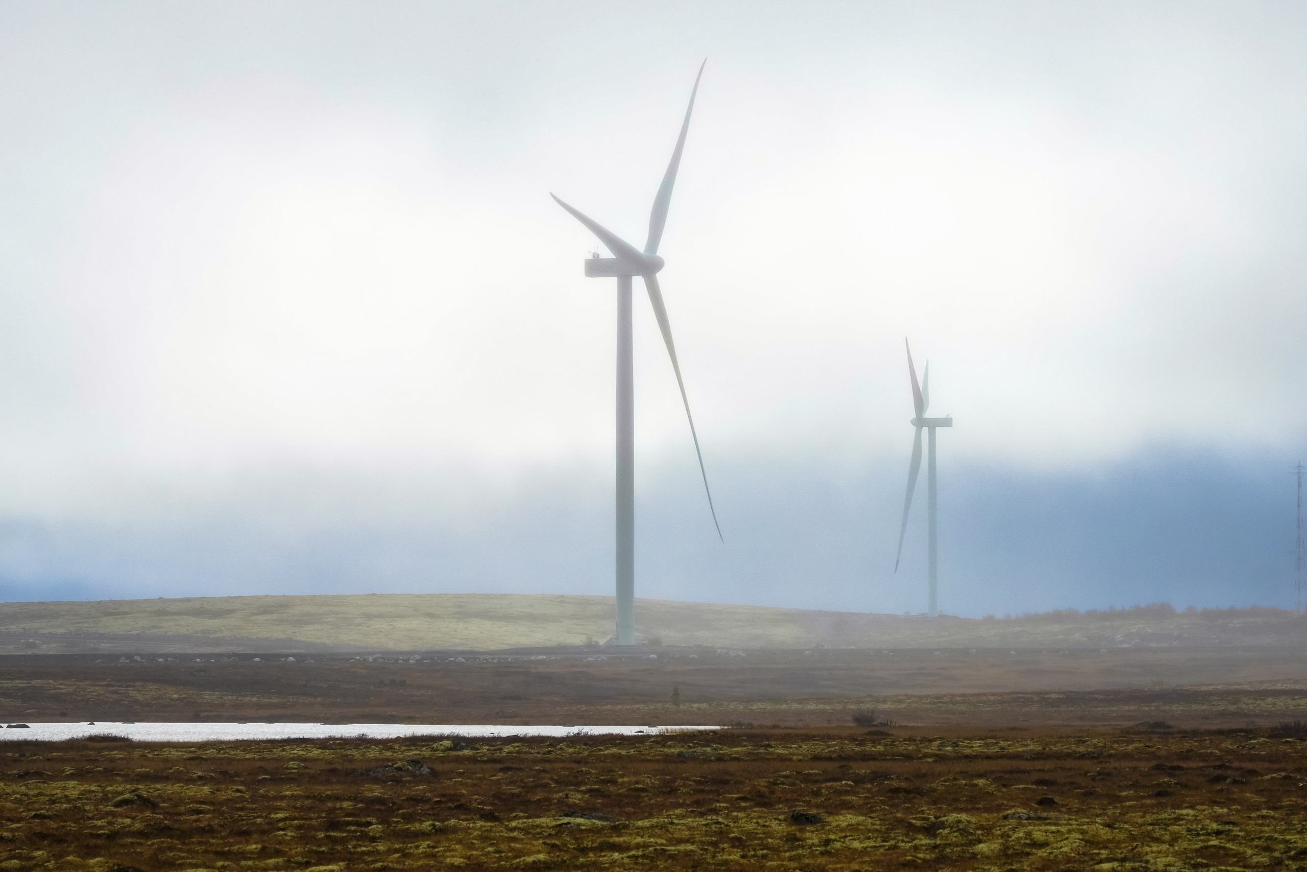 СЕВЕР. Event фотограф Степанова Александра