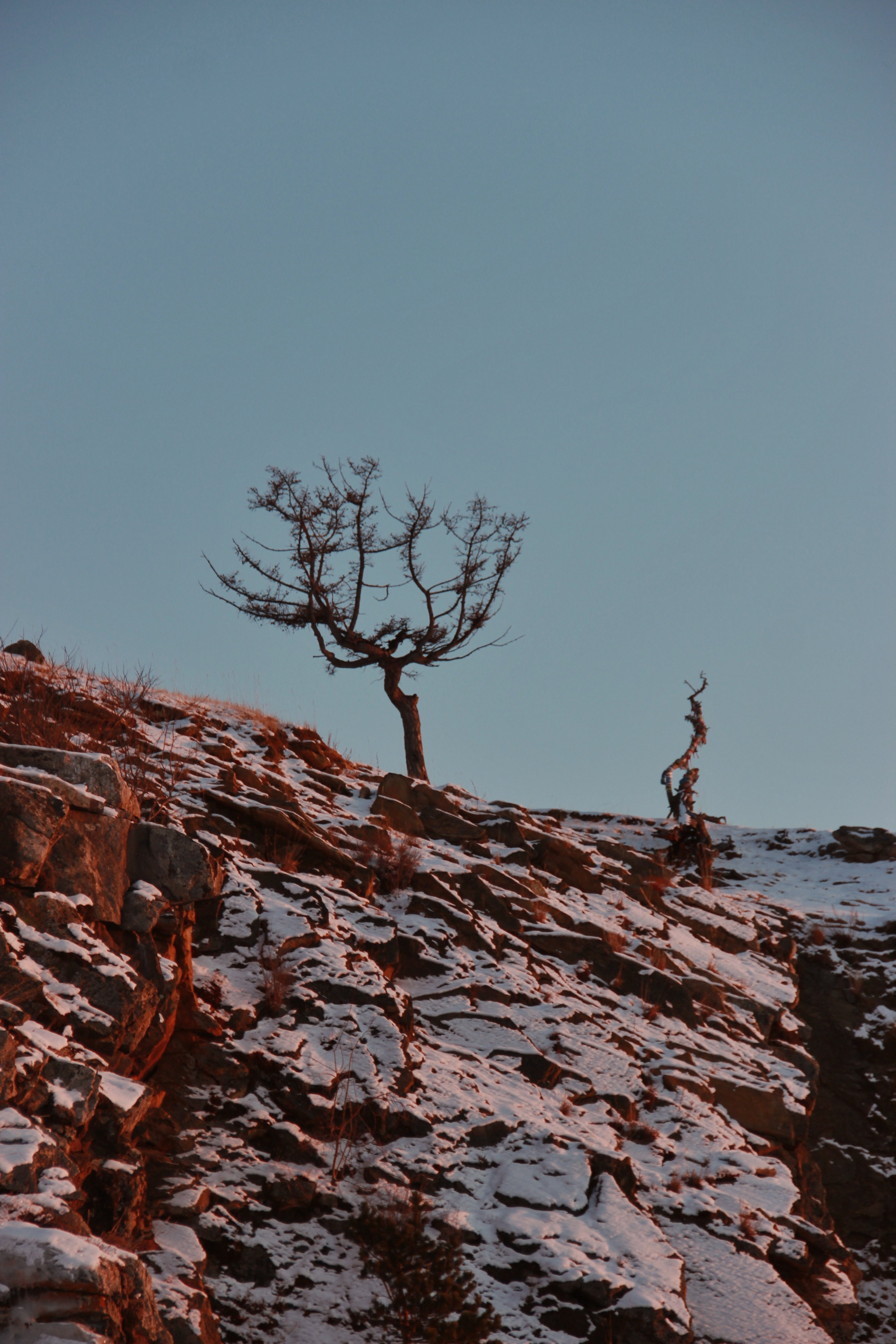 Фотограф и видеограф в Санкт-Петербурге