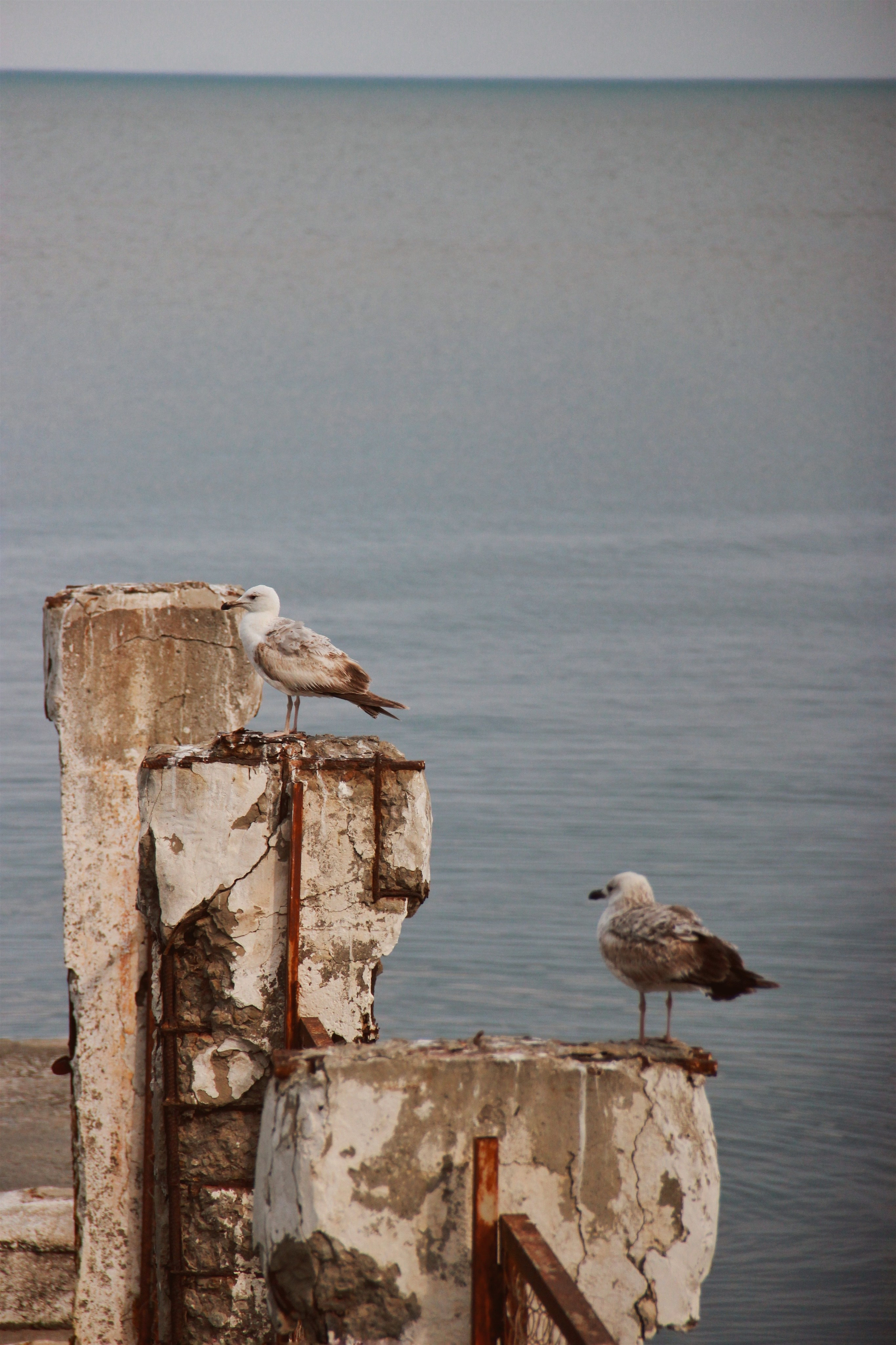 Крым. Фотограф и видеограф в Санкт-Петербурге