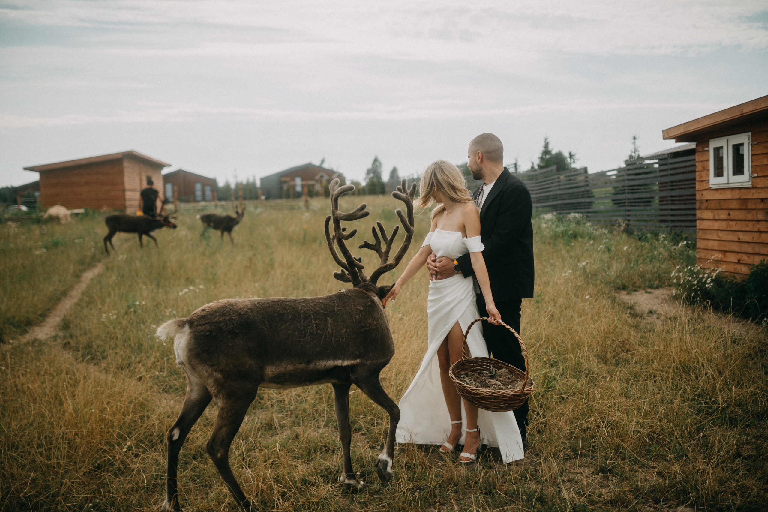 Данила и Кристина 29.07.25 весь день. Фотограф в Санкт Петербурге Лара Великова