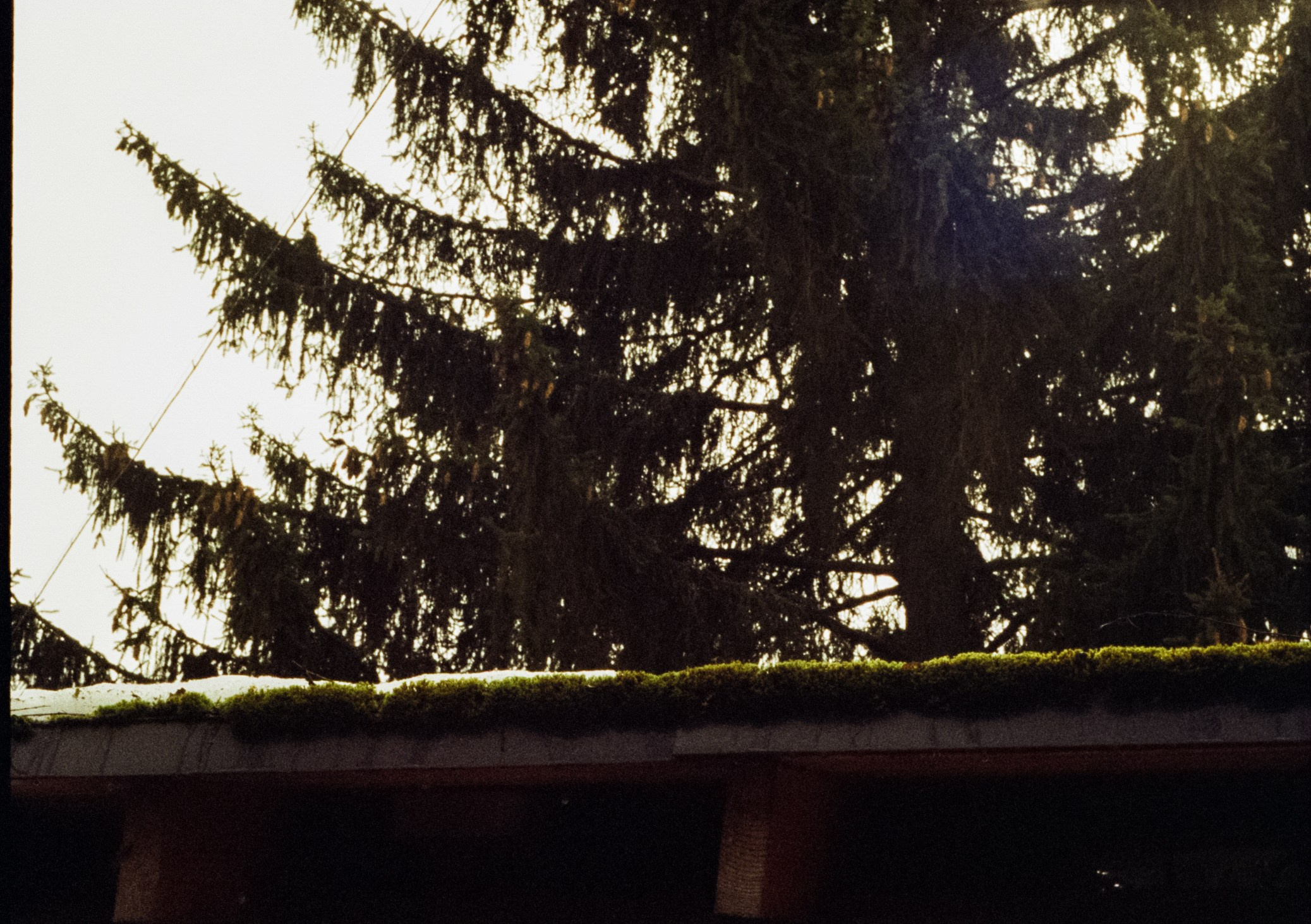 Olympus PEN-FT объектив Olympus F.Zuiko Auto-S 38 mm f/1.8