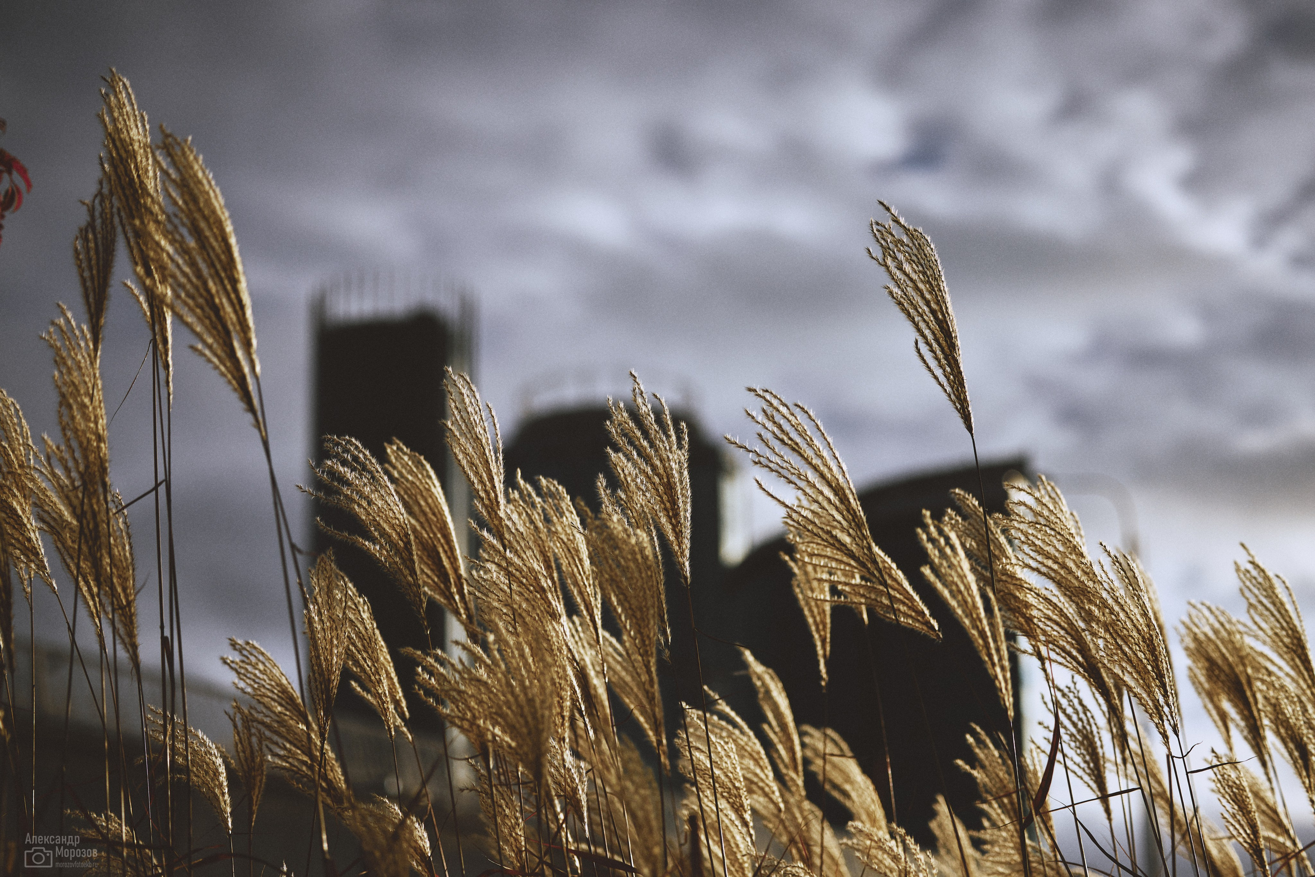 Городские зарисовки. Фотограф в Екатеринбурге Александр Морозов