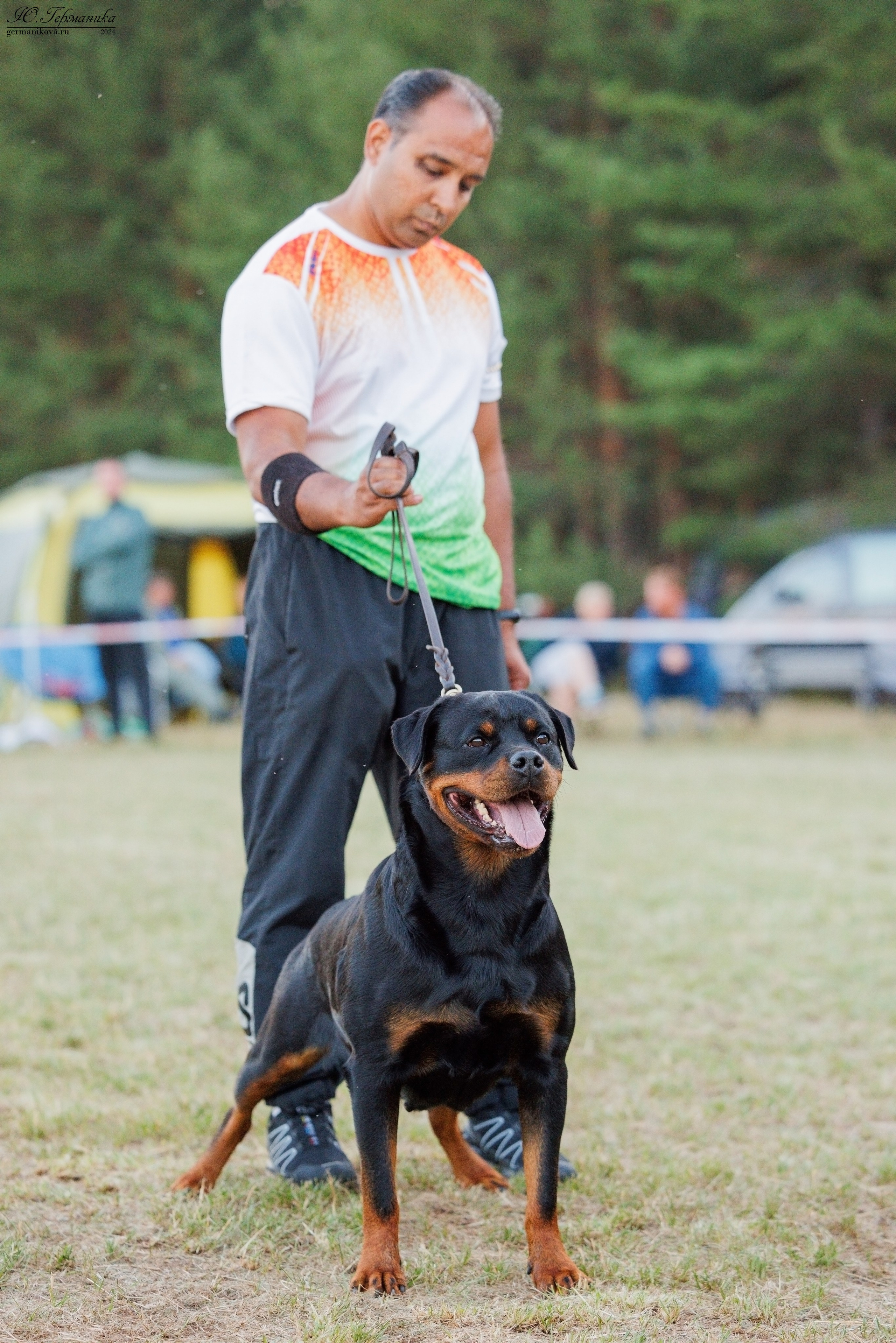 ПК и КЧК ротвейлеры Тверь 6-7.07.2024. Фотограф-анималист Юлия Германика
