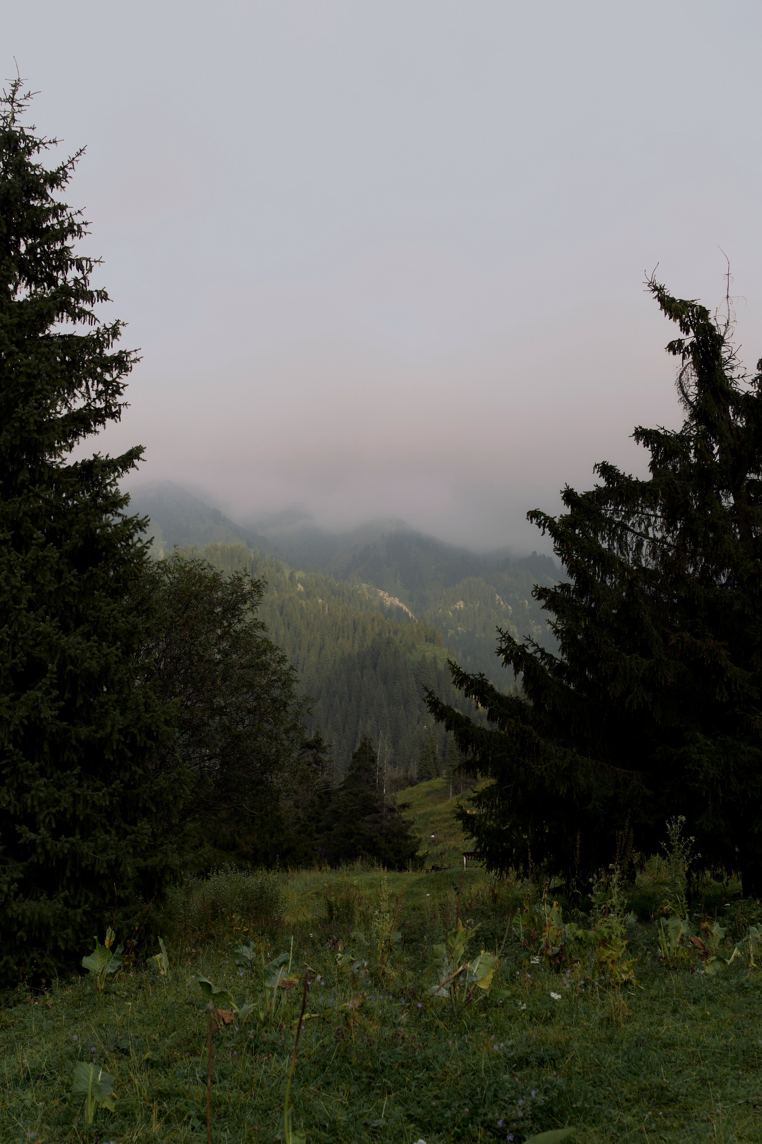 A quite place. Фотограф Юлия Маркелова