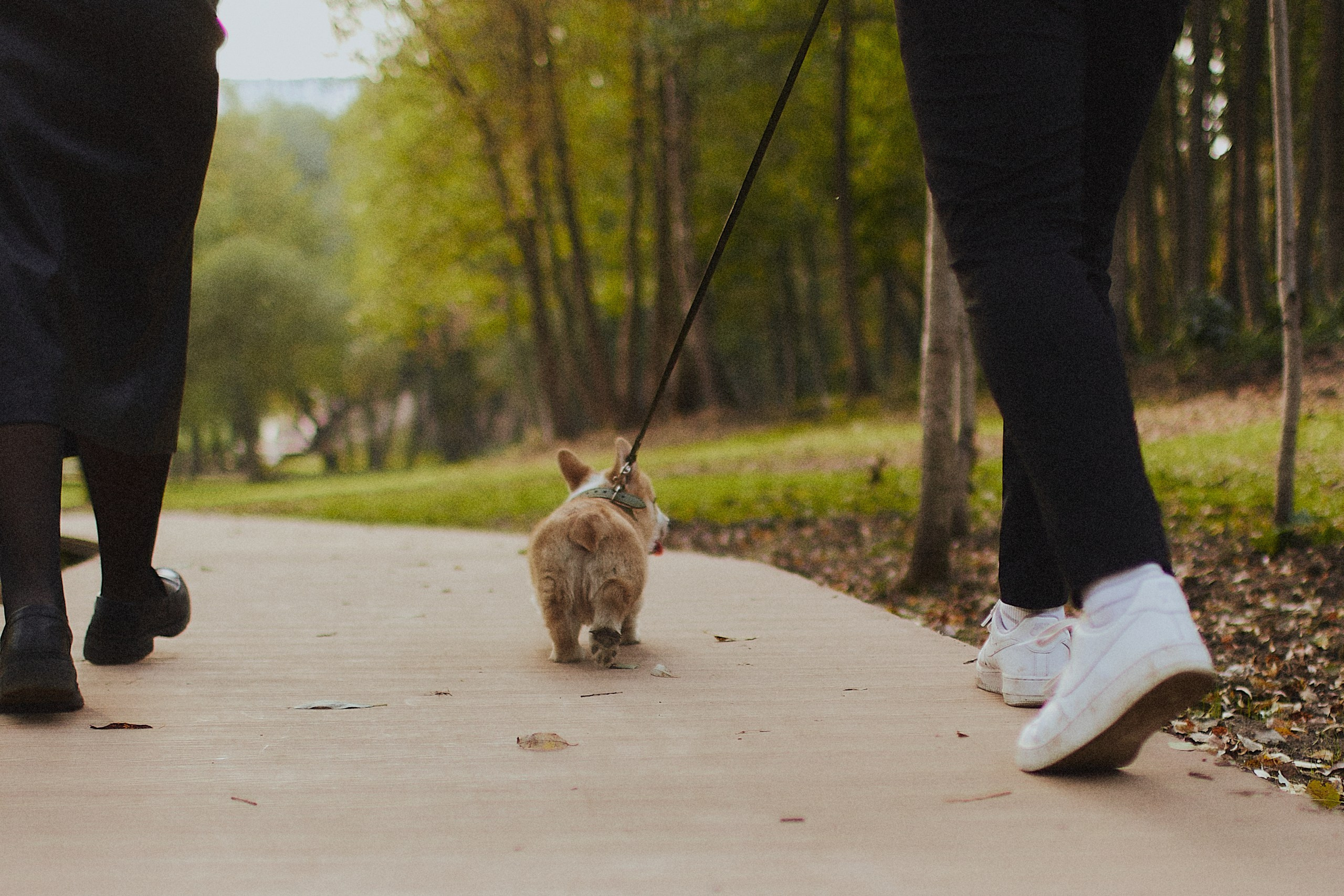 Артем и Дарья. Свадебный и портретный фотограф в Москве Когырина Мария