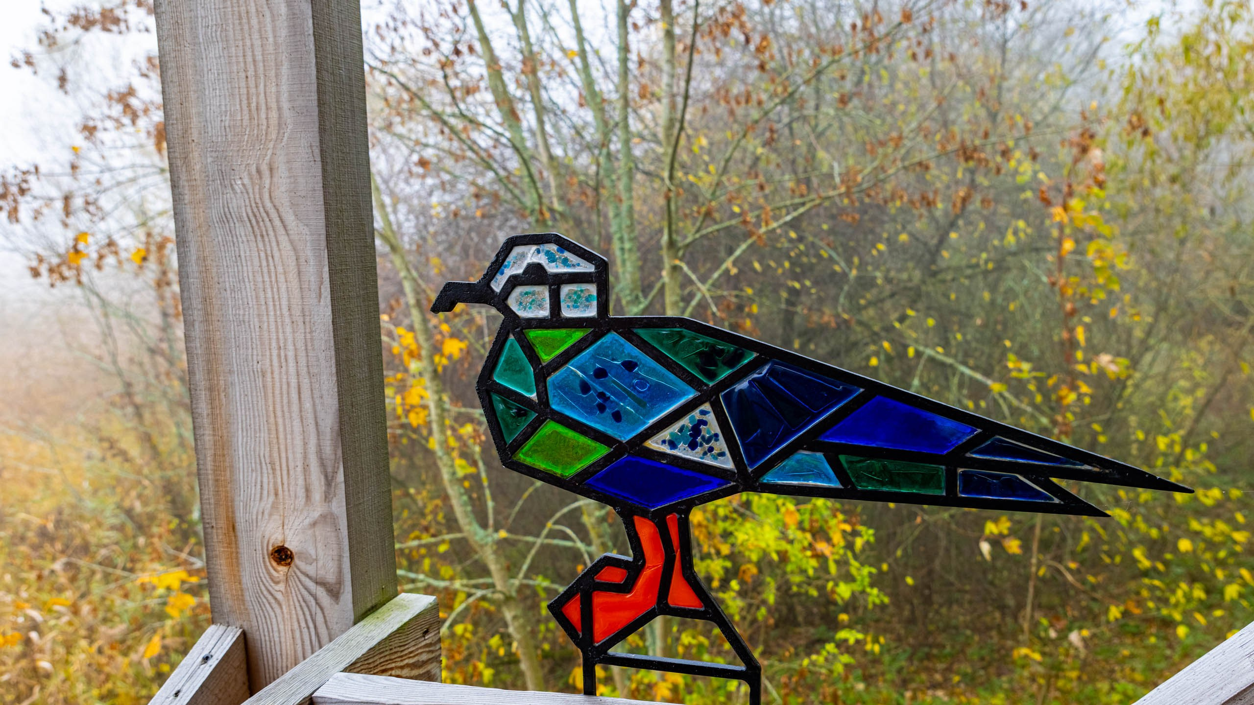 2024 10 Зеленоградск, Светлогорск, Куршская коса. Фотографии