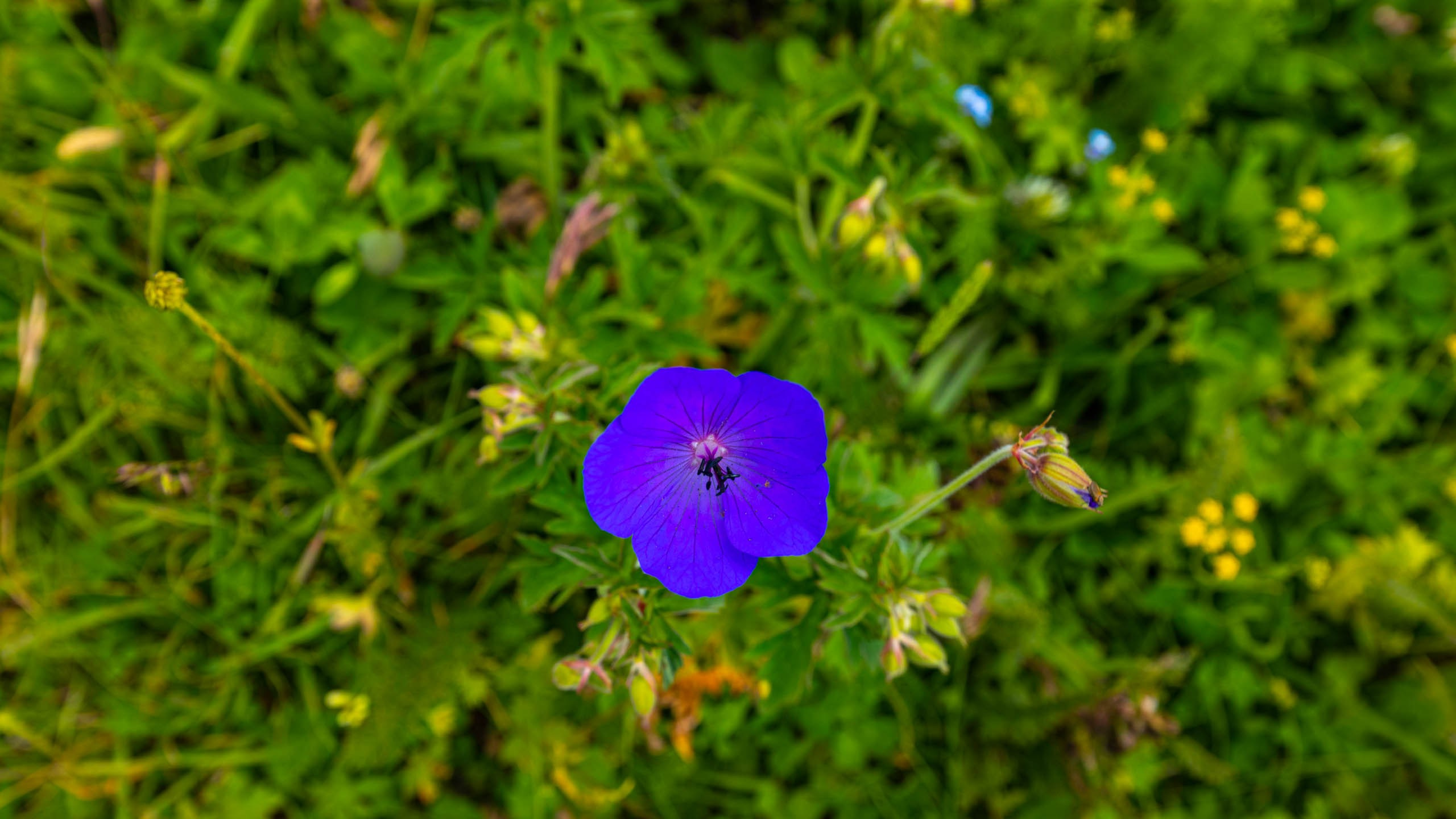 2023 07 Осетия, Ингушетия. Фотографии