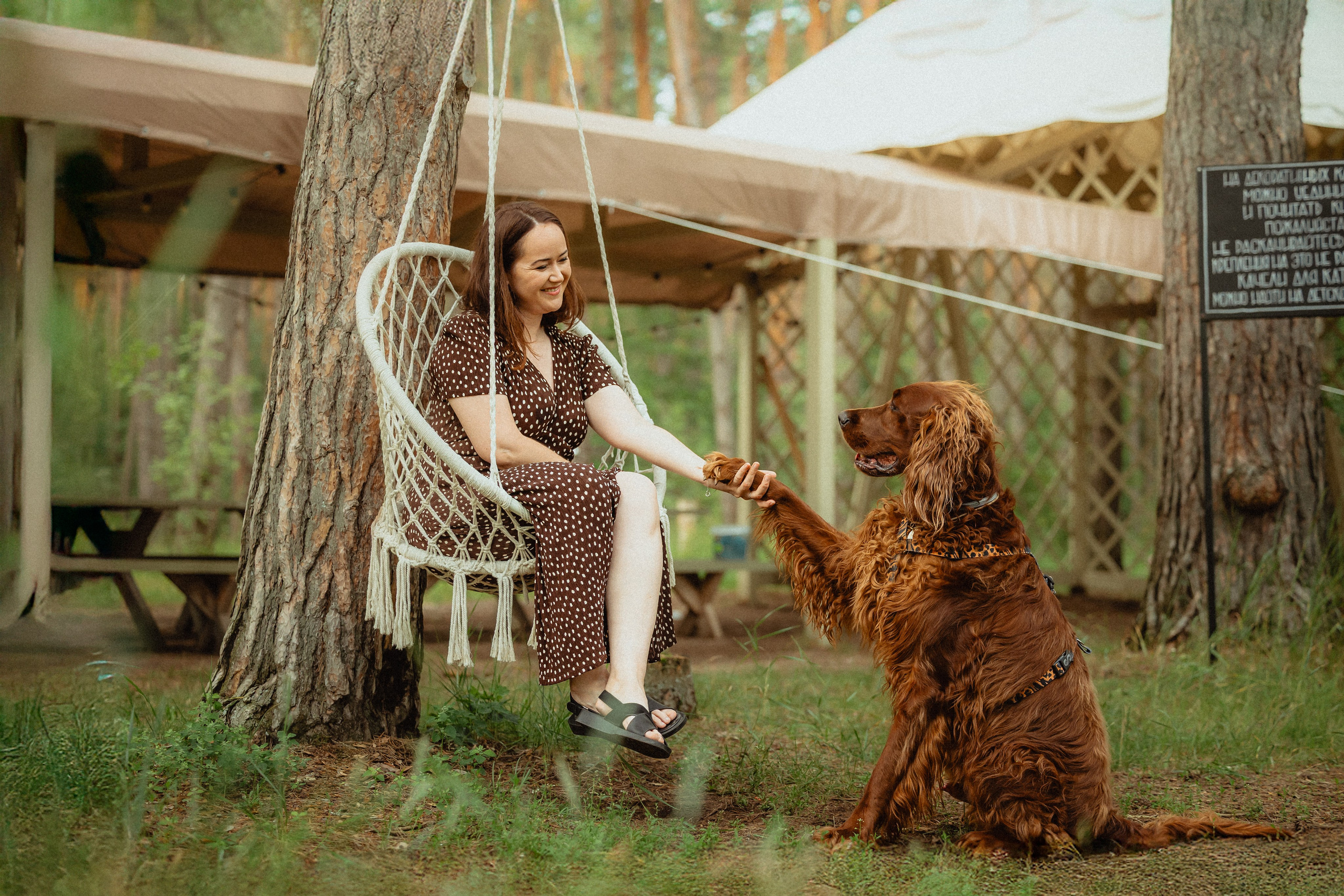 Выездной дог-тренинг от школы «Шерсть имею»
