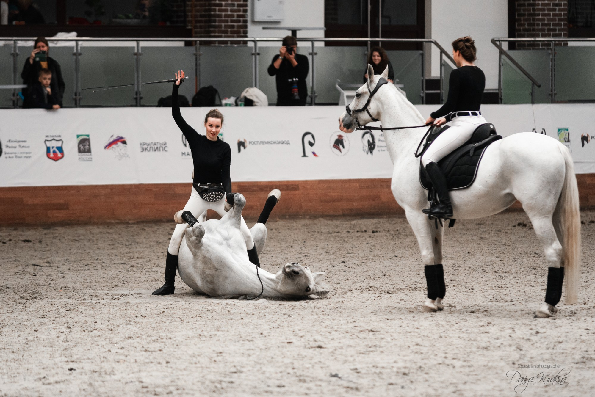 8-я международная выставка Конная Россия. Конный фотограф Куракина Дарья • Фотосессии с лошадьми
