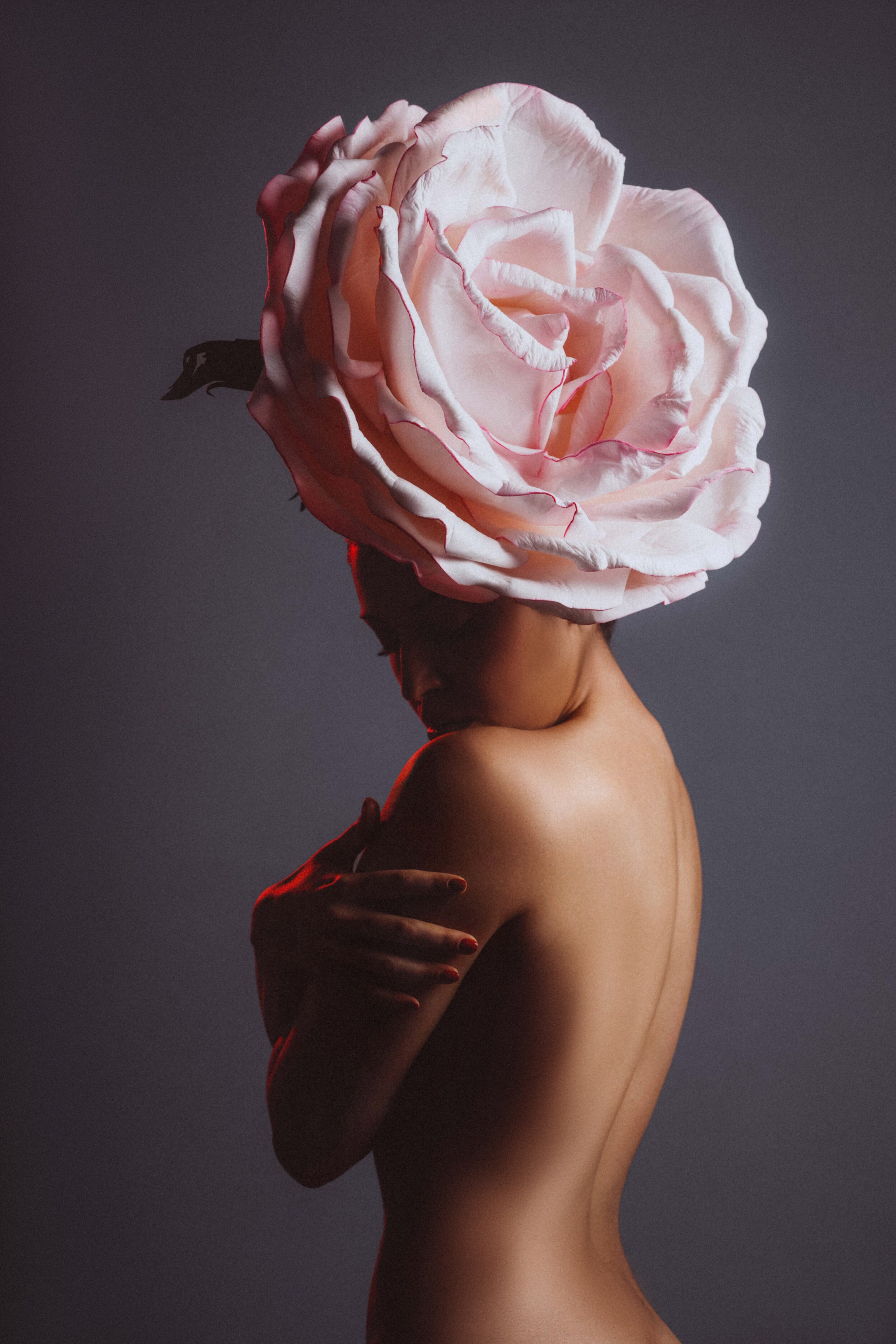 Семейный фотограф в Волгодонске Анастасия Шипилова