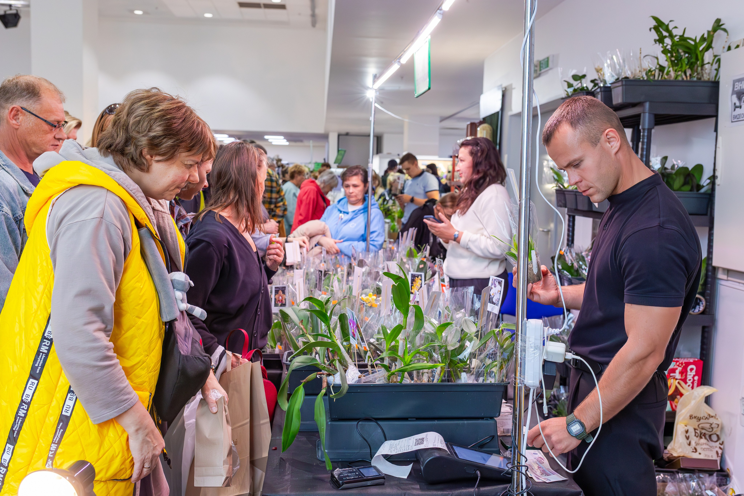 Орхидиум сентябрь 2025. Александра Куликова фотограф, Москва