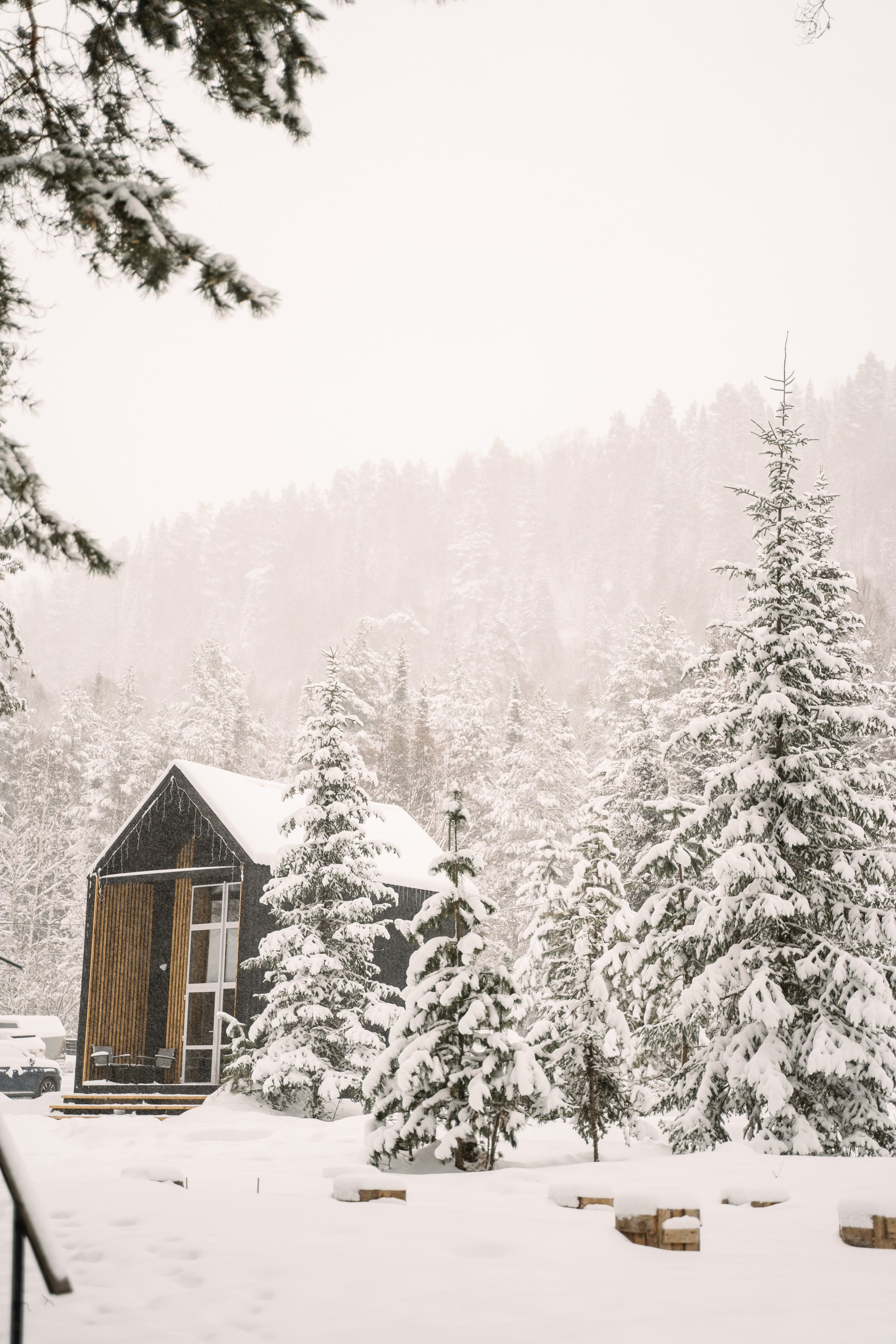 Релекс ТЕЛЕЦКОЕ. Фотограф Ольга Пучкова