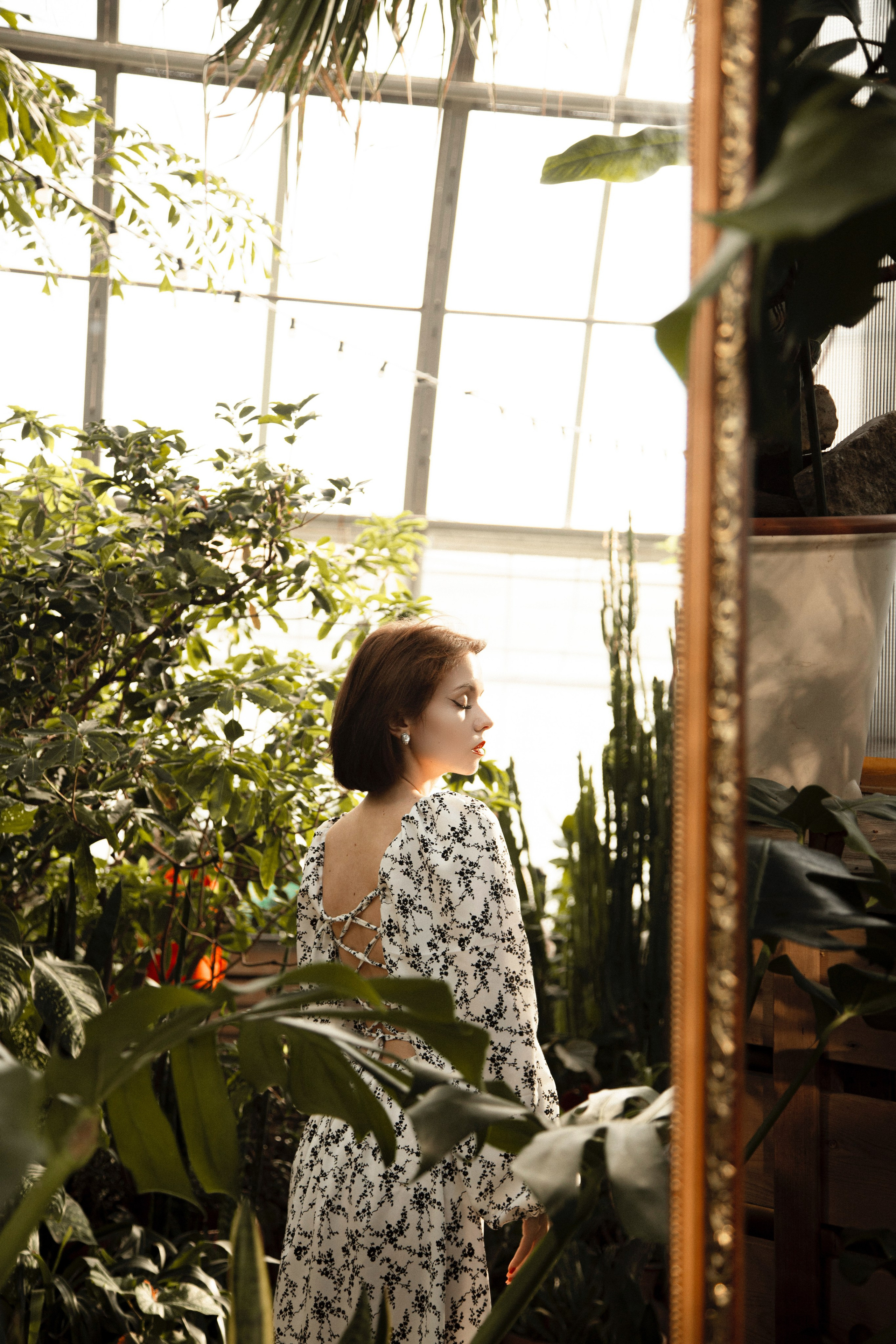 Оранжерея Таврического сада