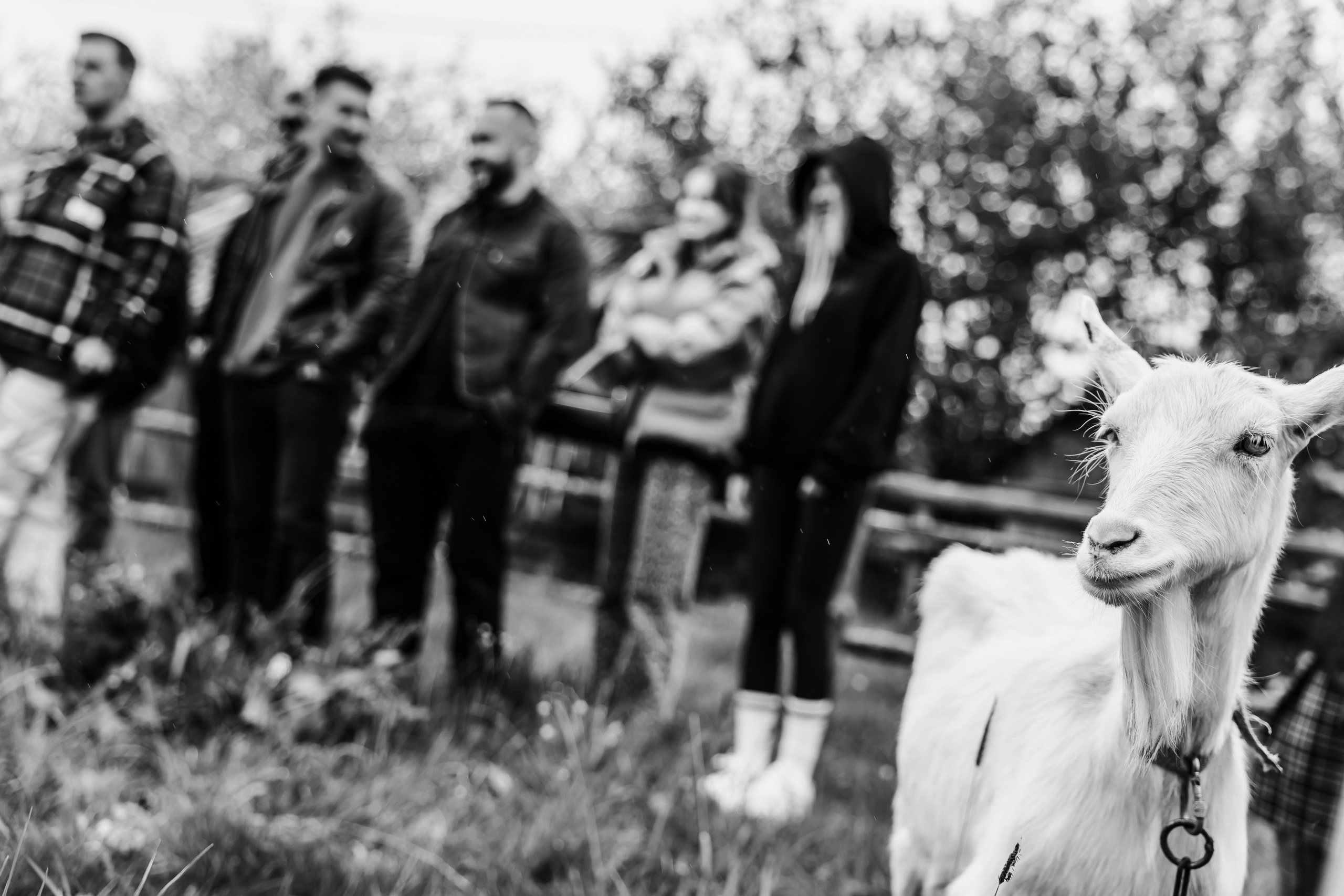 ХОЛОП -тематический праздник. Свадебный фотограф Минск РБ