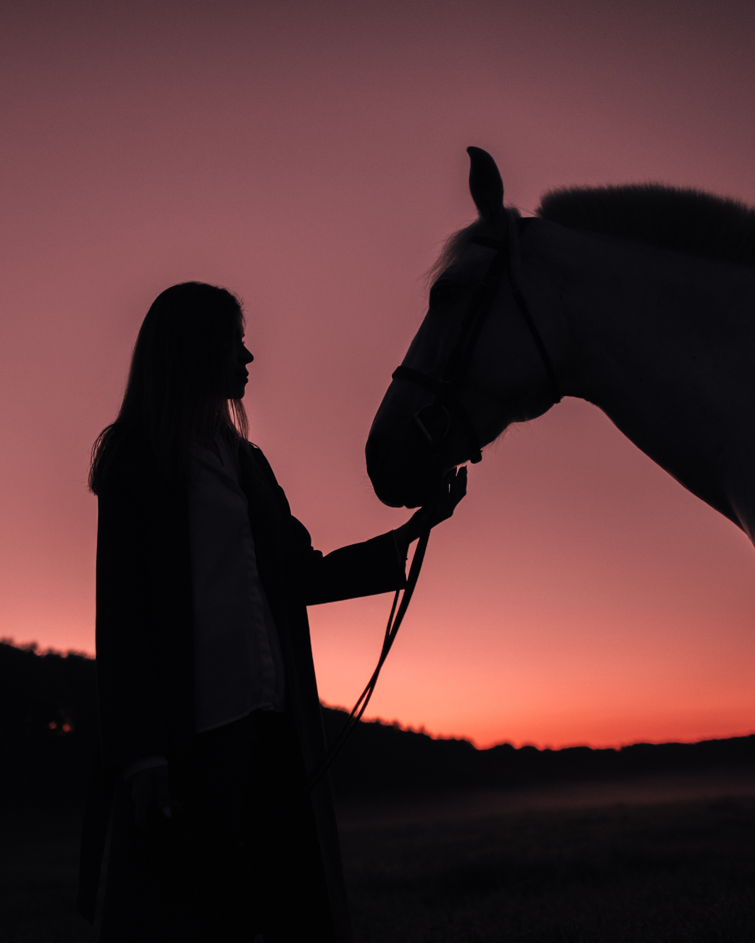 Конное: рассвет на поле с Лерой и Златой. Портфолио