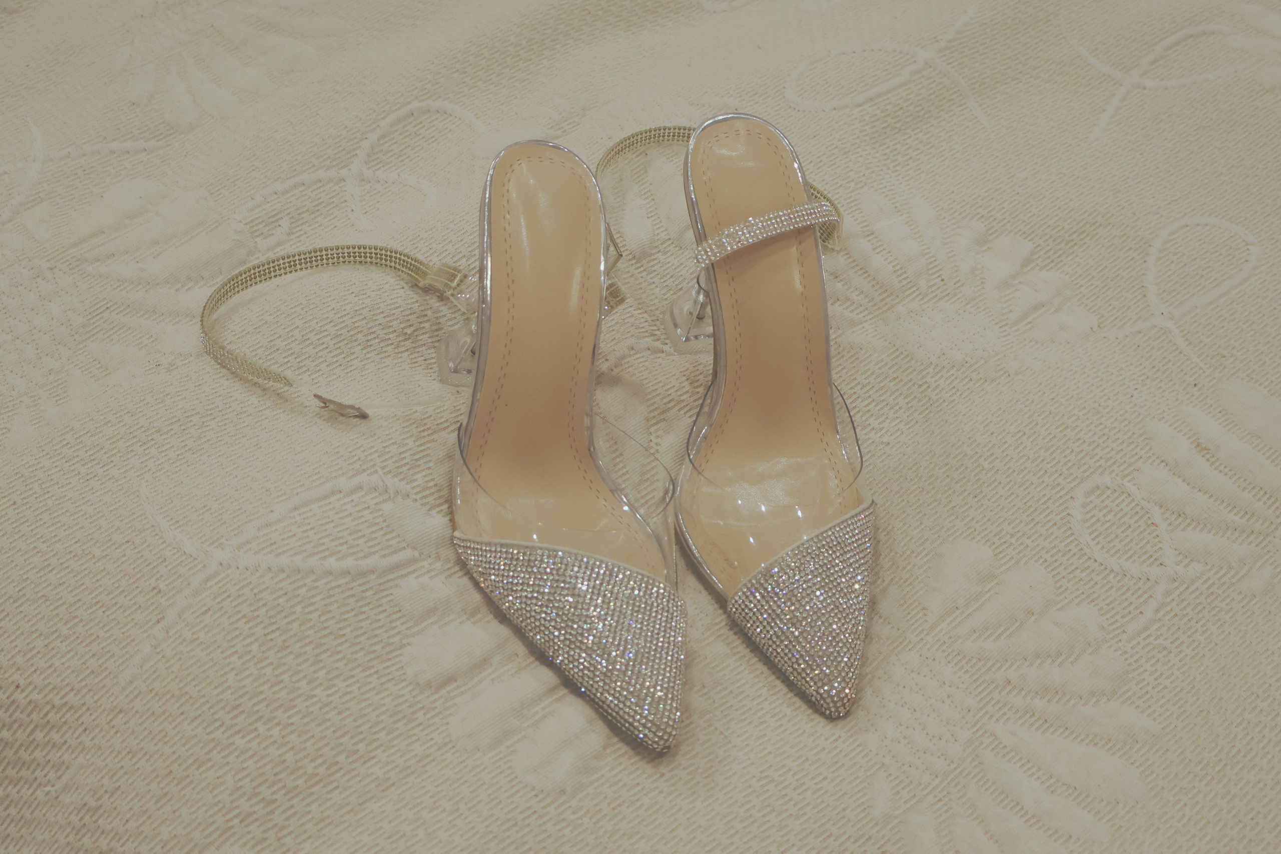 Series. Art direction & Design | Curiosa