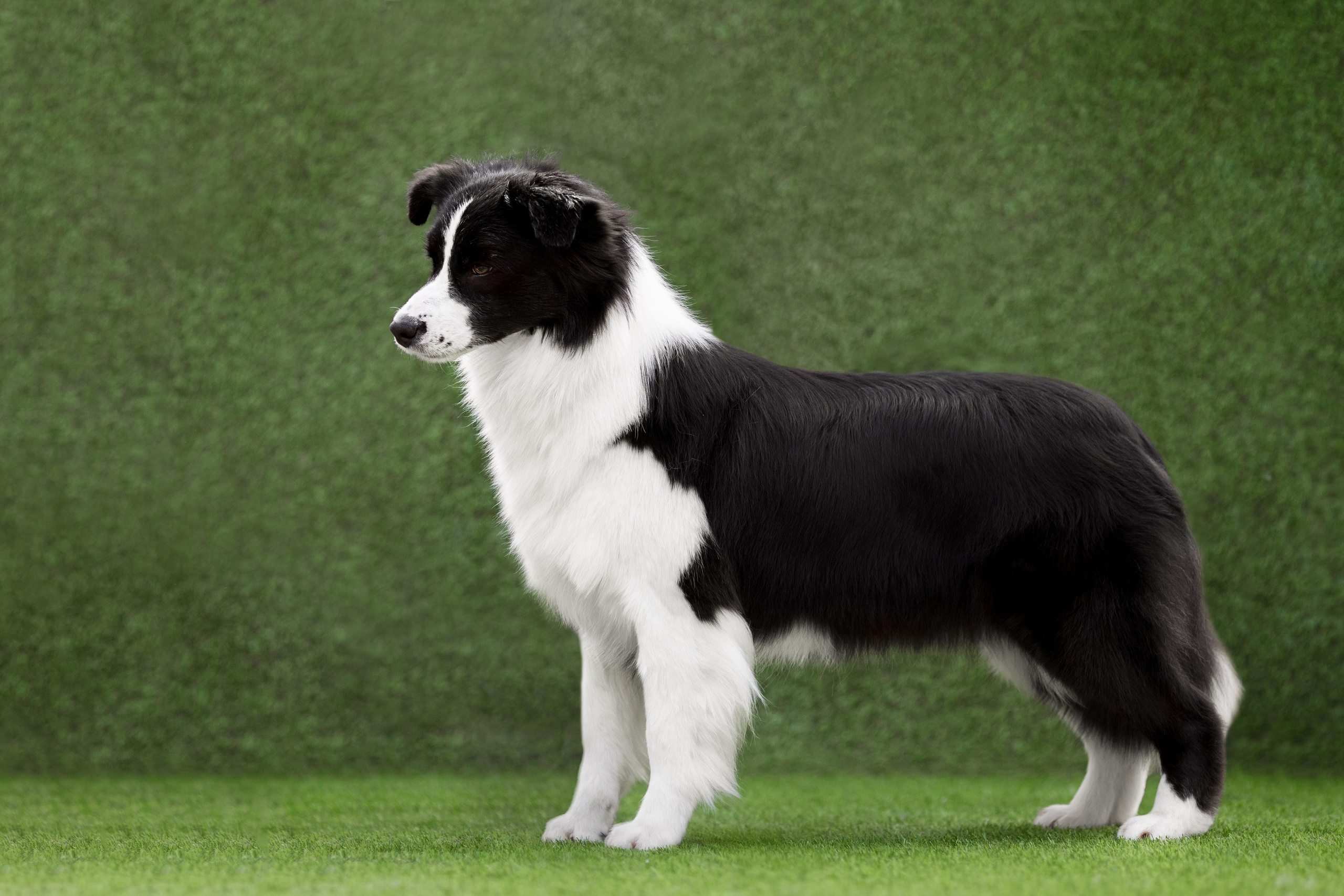 Роскошь в ростошах. О нас