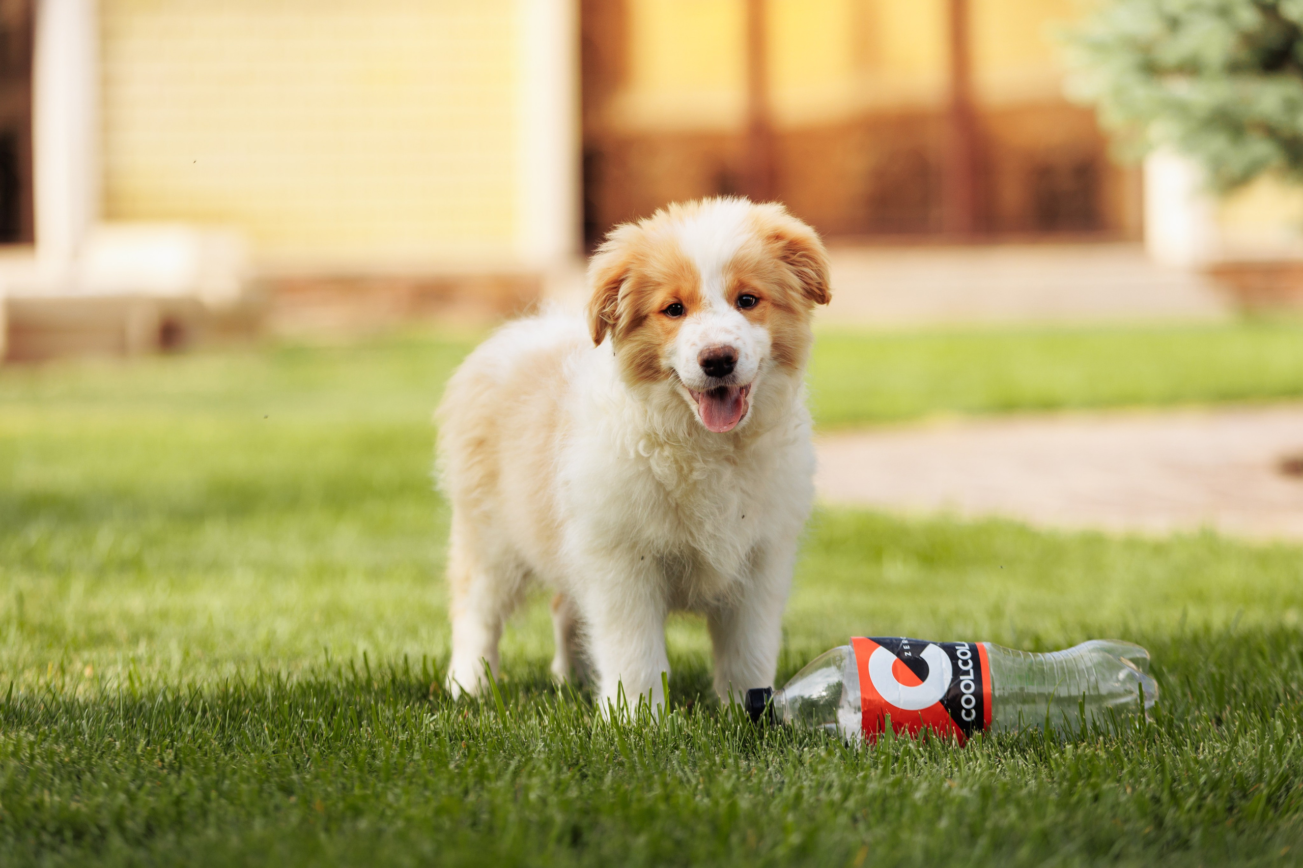 СОлнечные. О нас