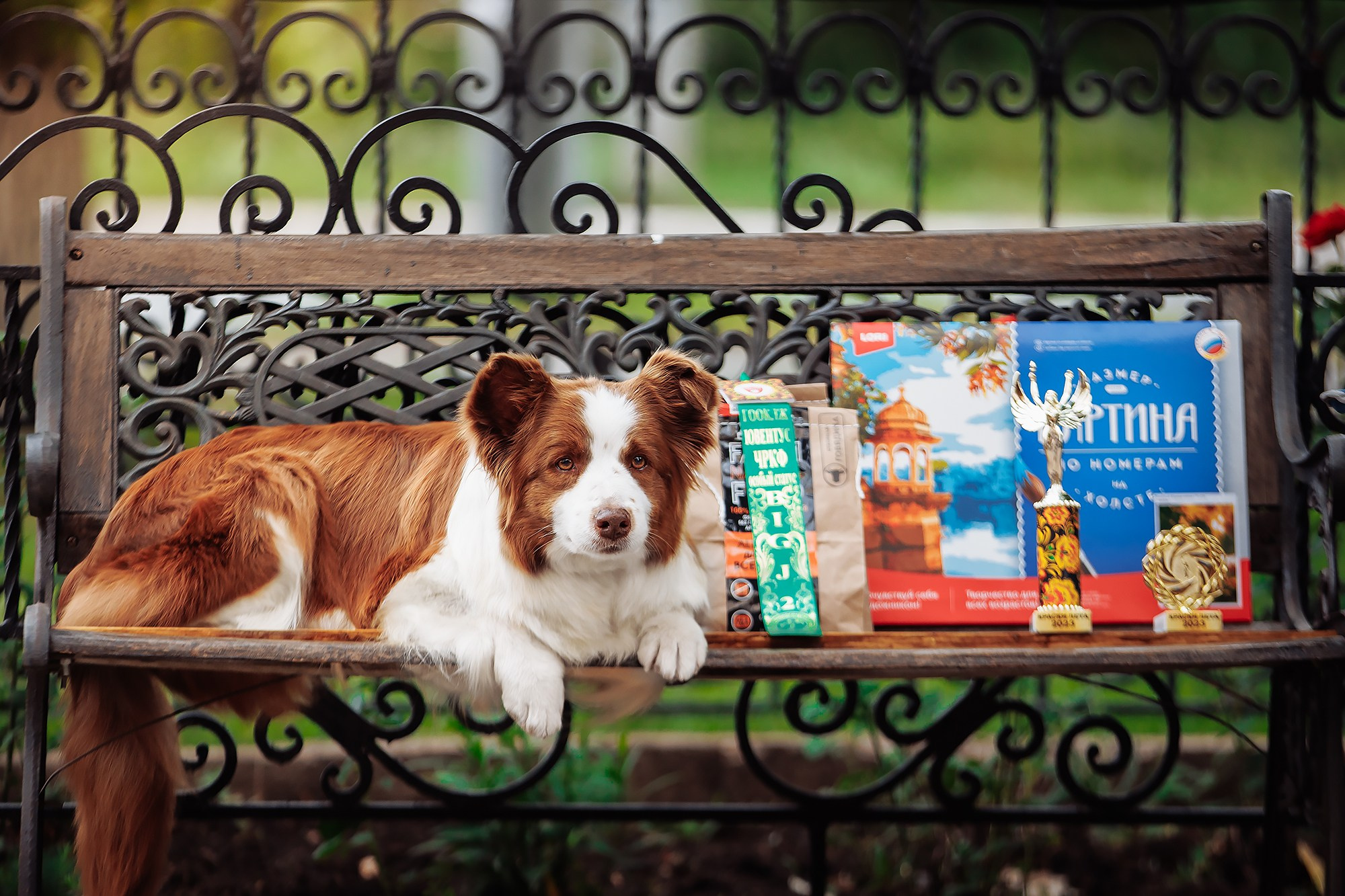 Краски 23. О нас