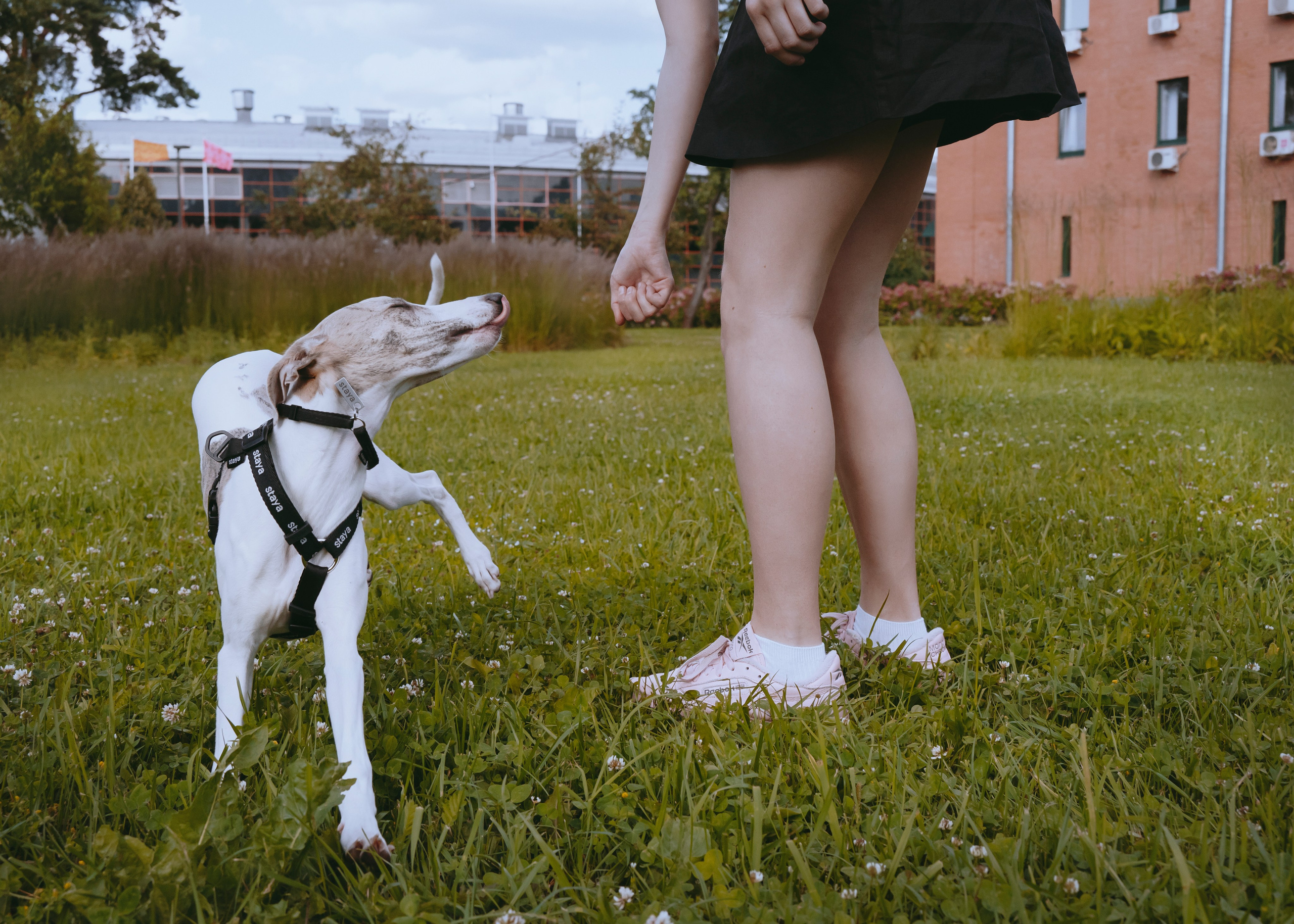 Ветка. Фотограф- анималист Александра Матвеева