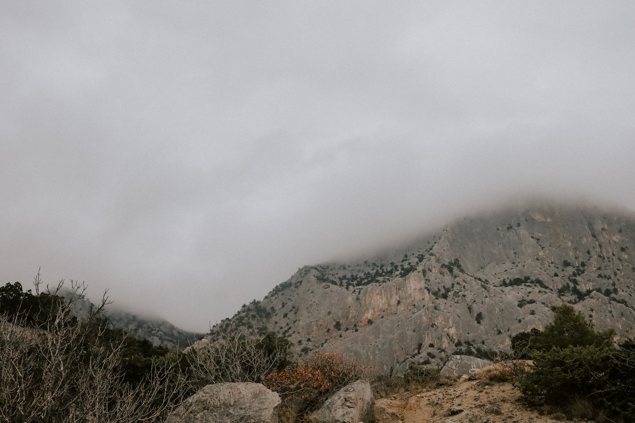 K & I. Алена Орлова | Фотограф | Севастополь