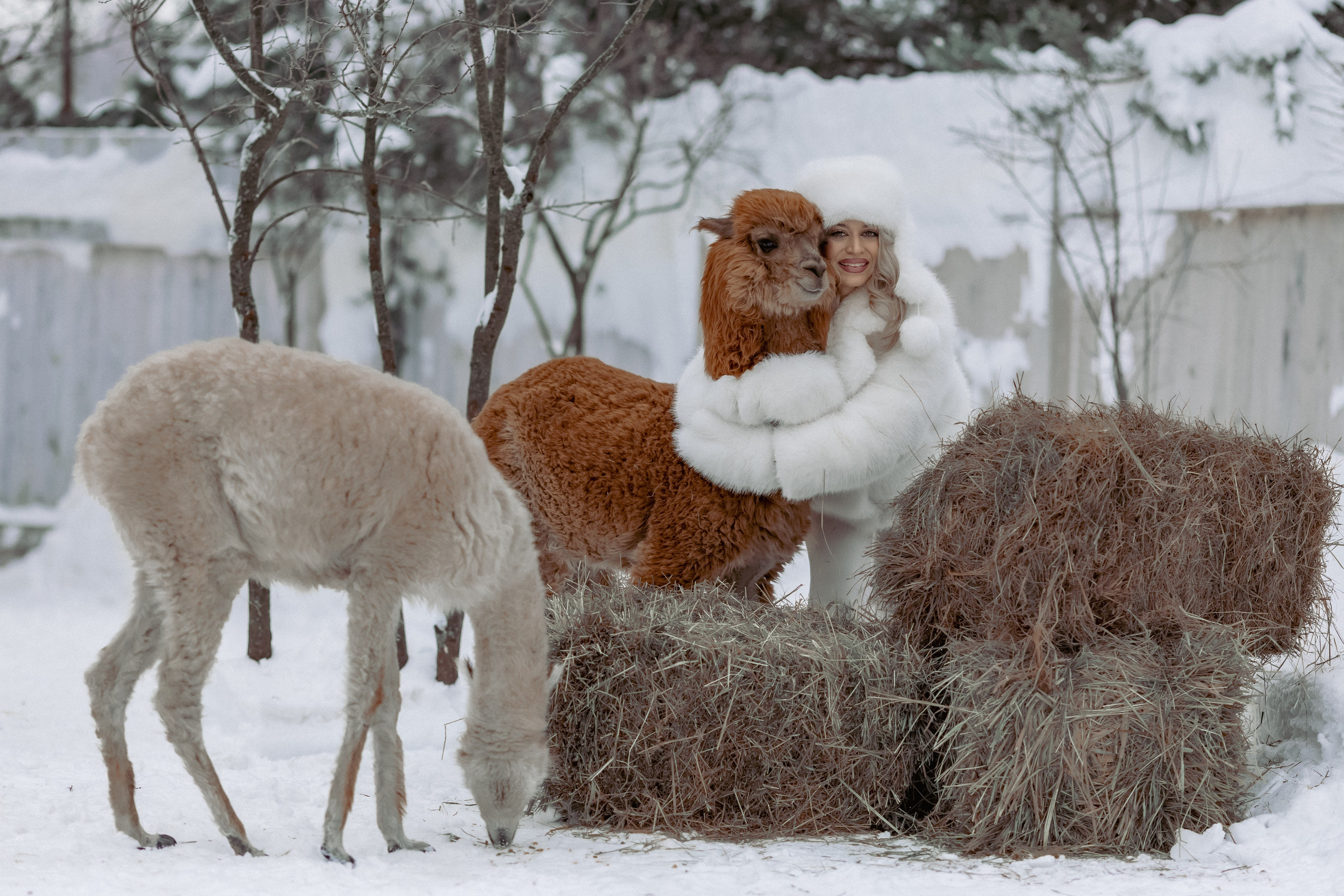 Алина. Детский и семейный фотограф Евгения Вахнеева Москва Зеленоград