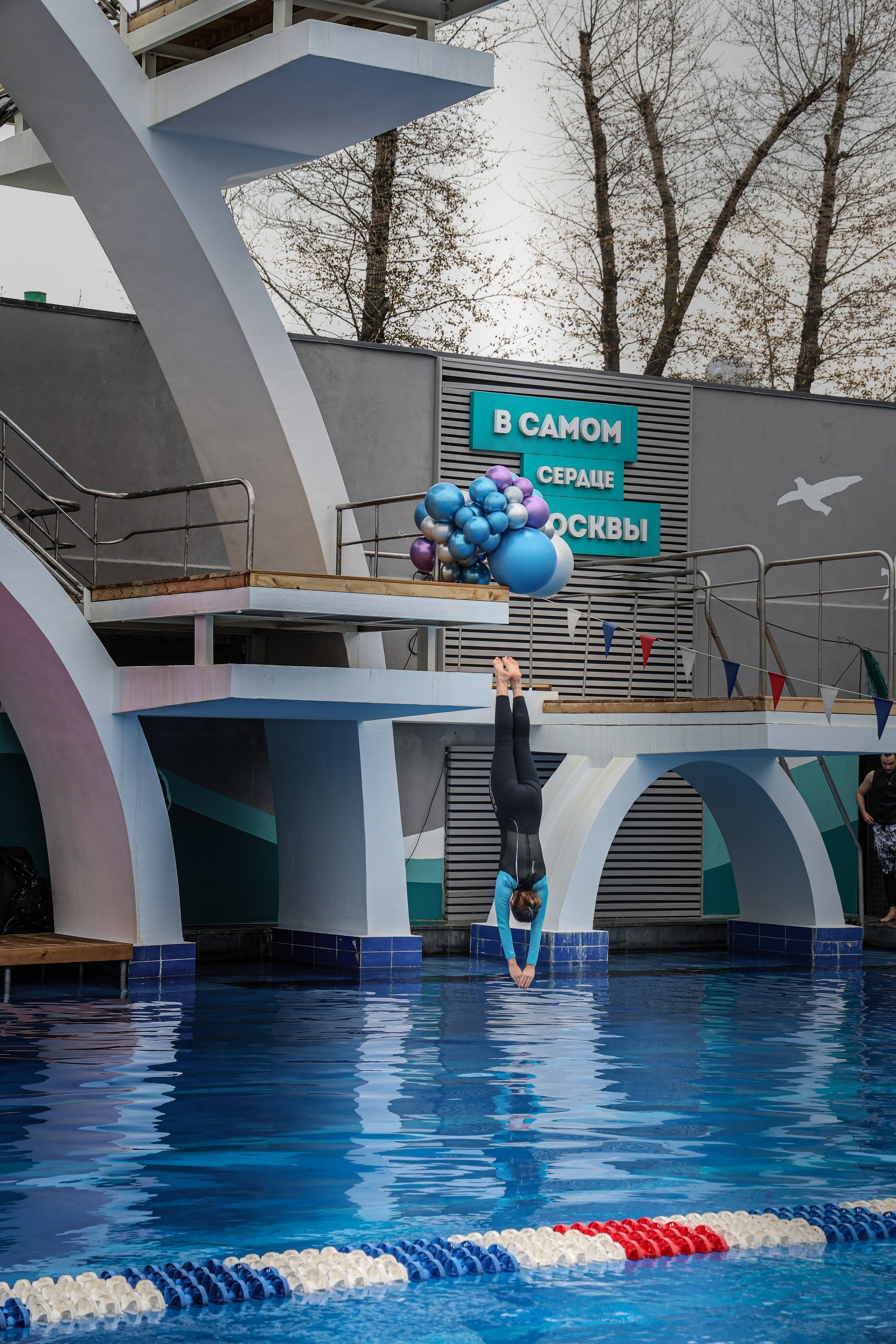 Анонс чайка. Фотограф и видеограф — Москва