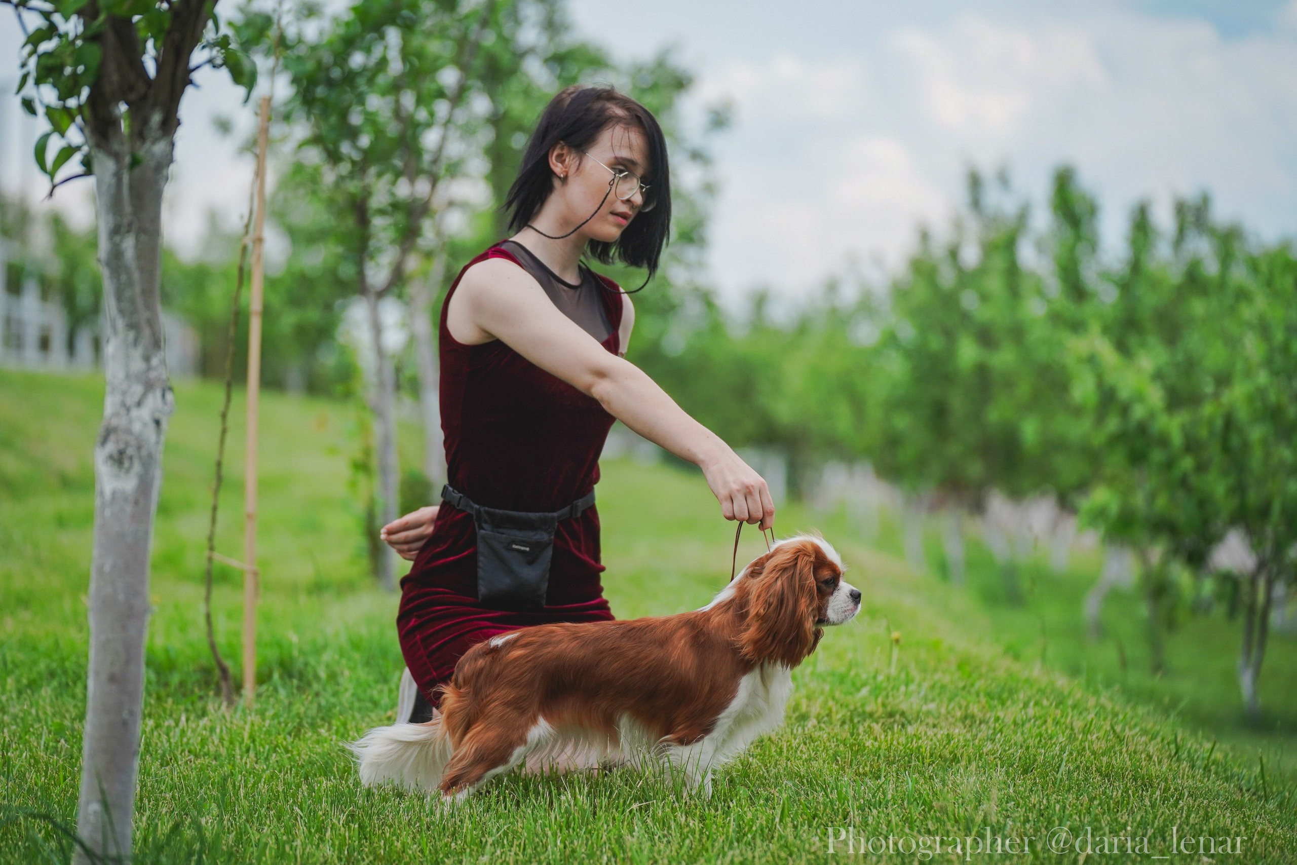 Выставки собак. Фотограф в Москве Ленарская Дарья