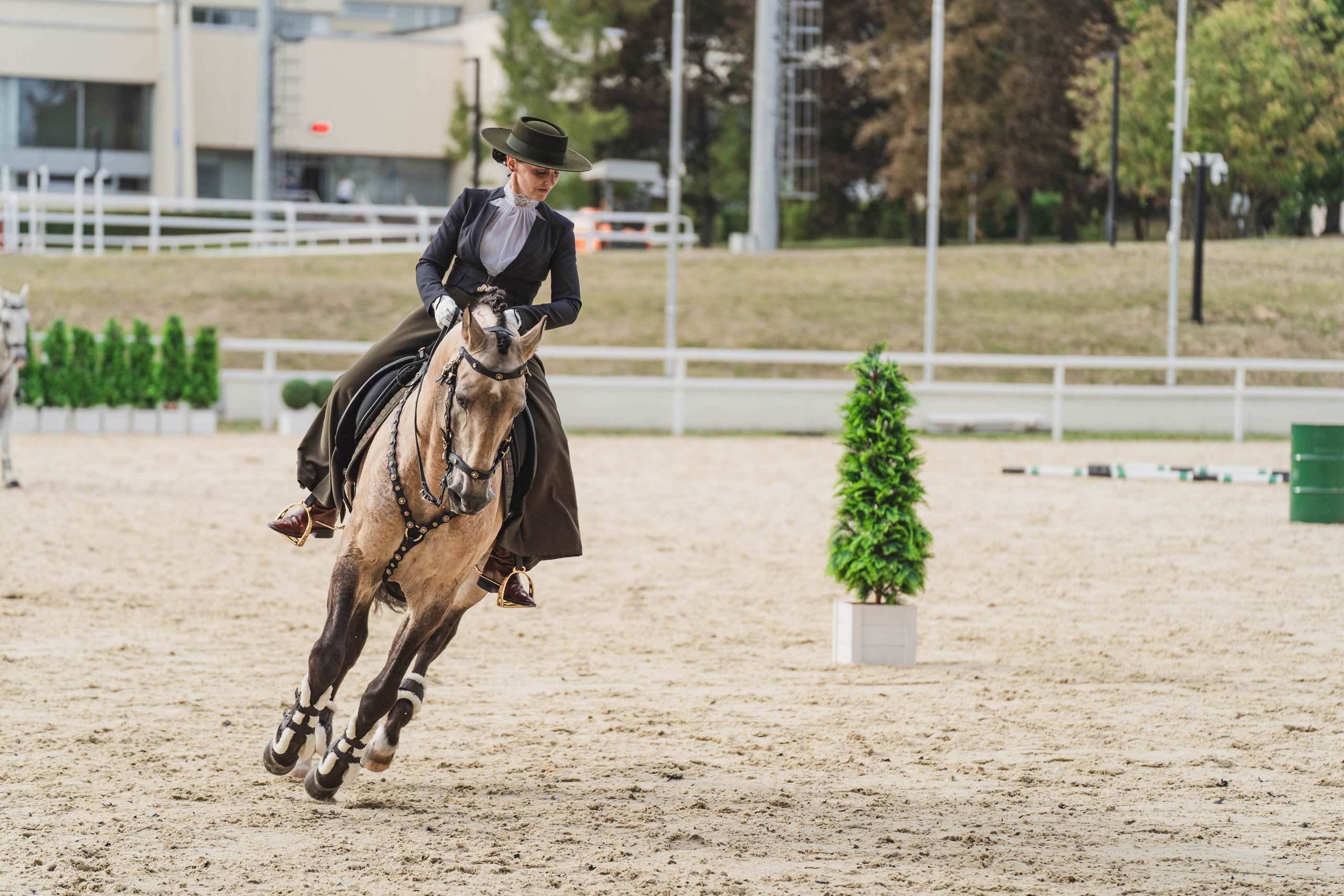 Мастер-класс по рабочей выездке. Фотограф в Москве Ленарская Дарья
