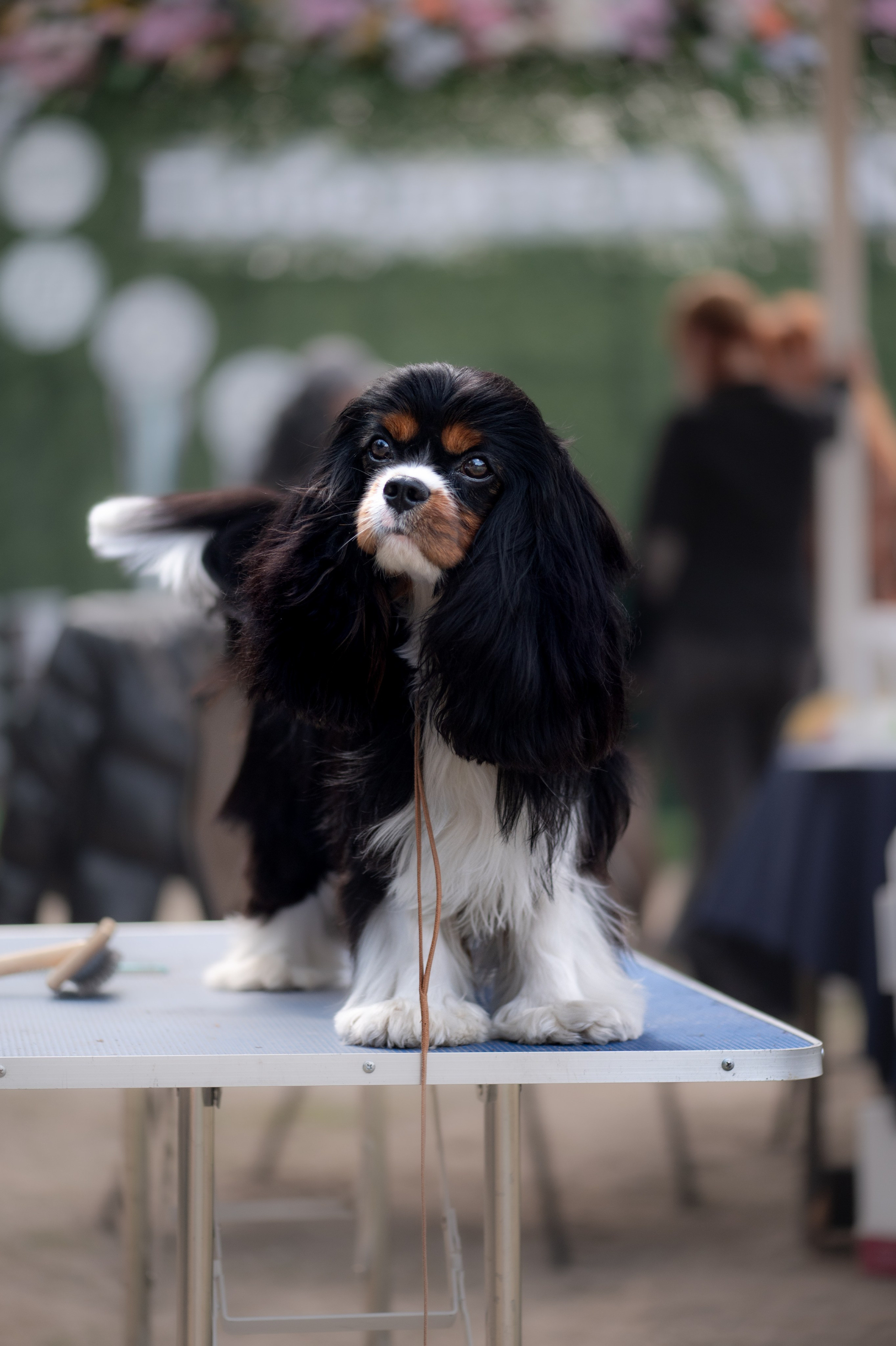 Зверье. Elnora Atnagulova Foodphotography