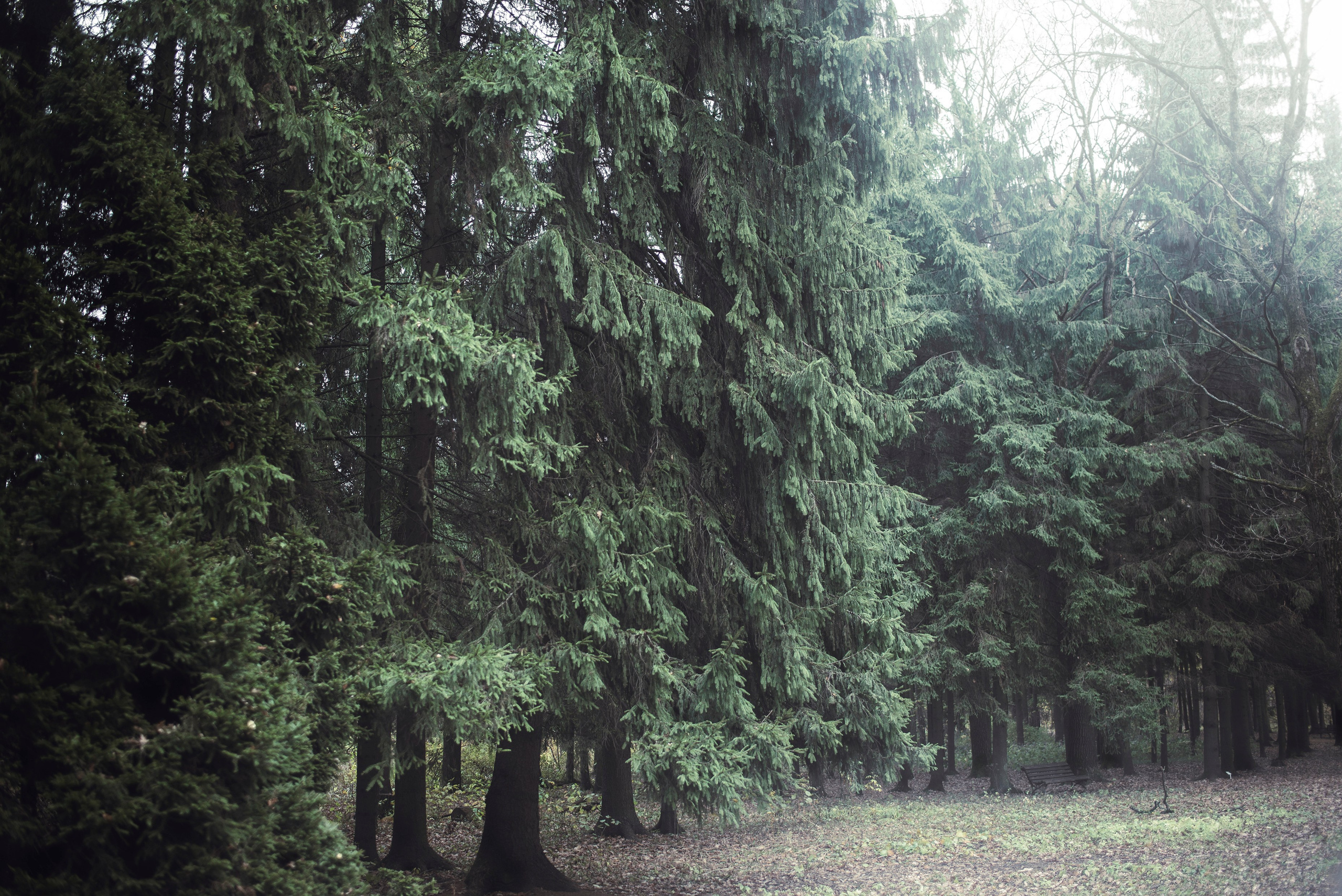 Being (study progect). Фотограф в Москве Алейникова Евгения