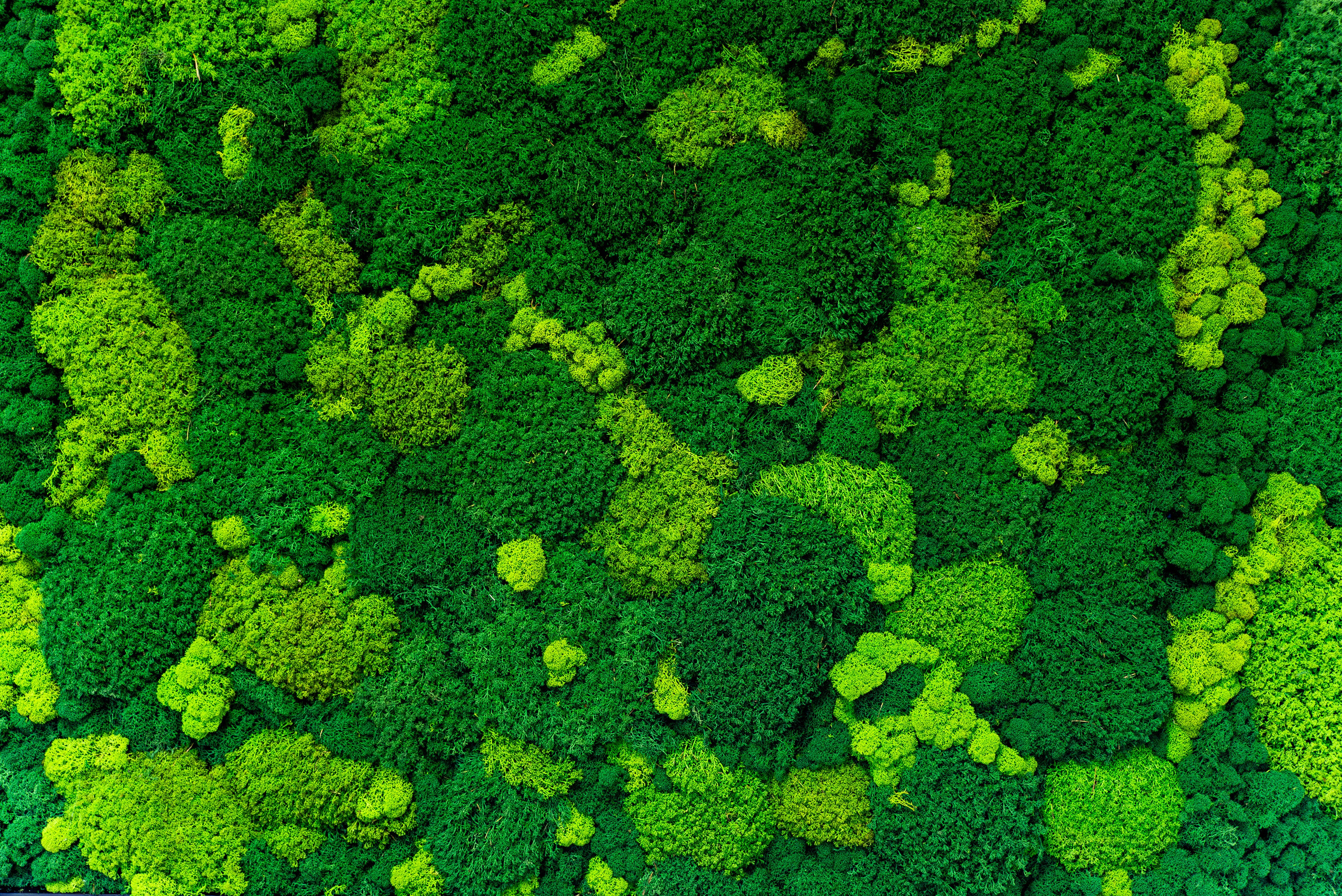 Индустриальный парк — озеленение. KUSTOV PRODUCTION — профессиональная фотосъёмка в Москве