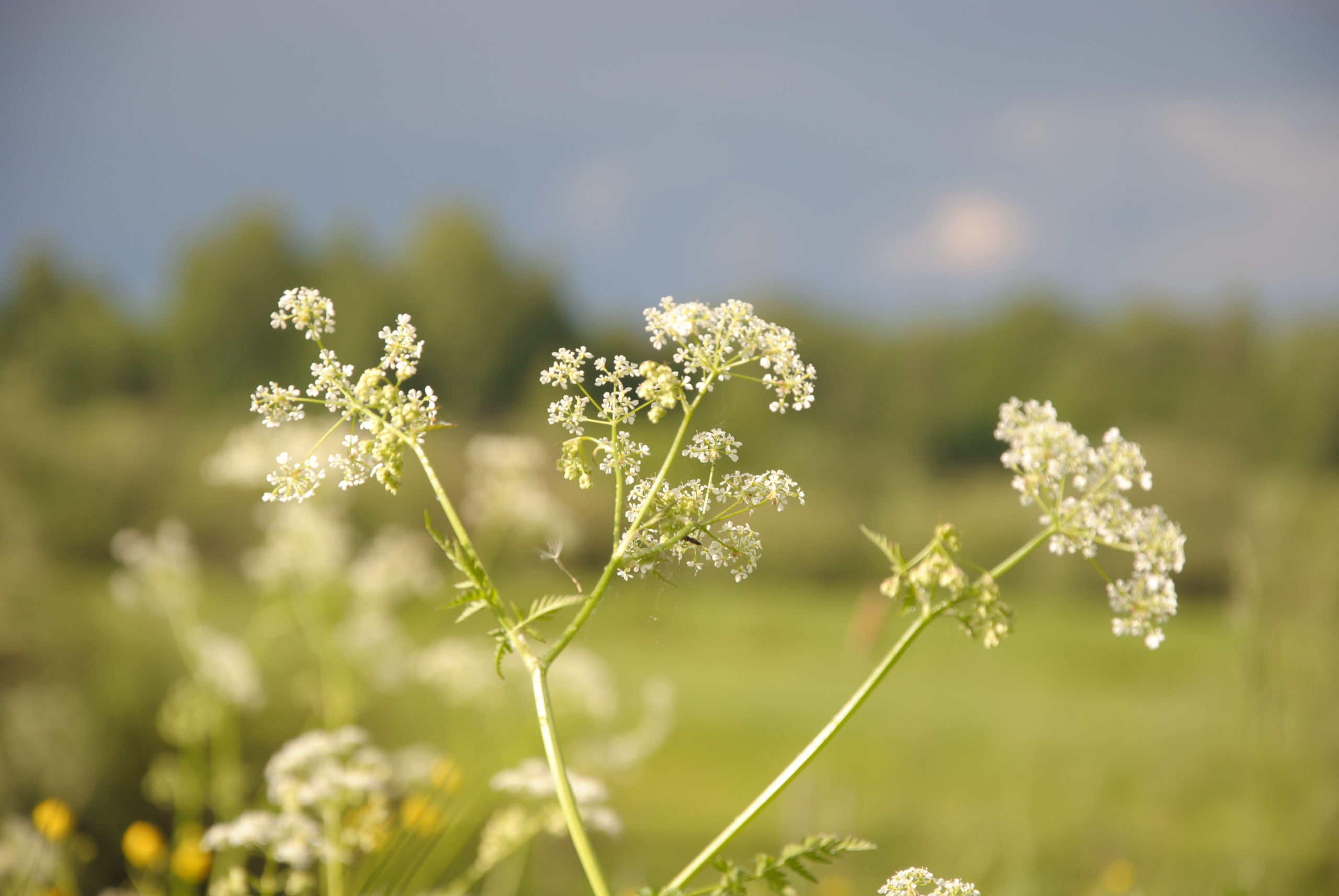 БЛОГ. Портретный фотограф в Краснодаре Надежда Елынко