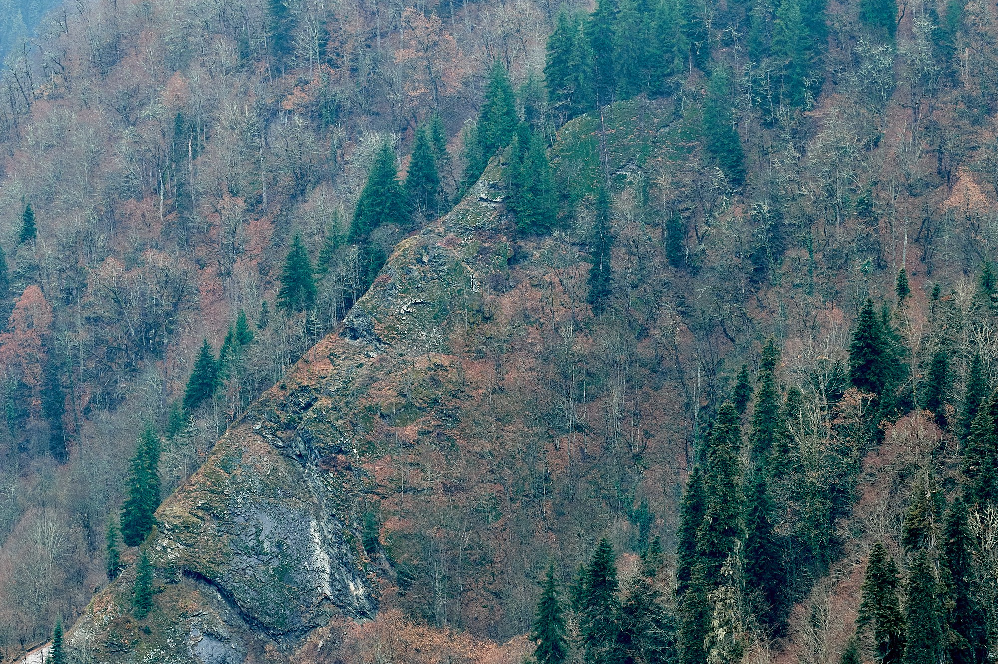 Озеро Рица, Абхазия. Декабрь 2024. Фотографии отовсюду и обо всем