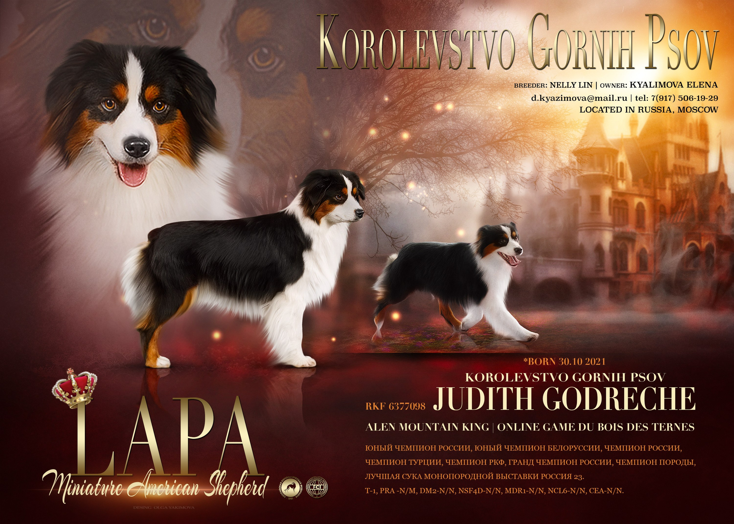 Animal presentation. Фотограф