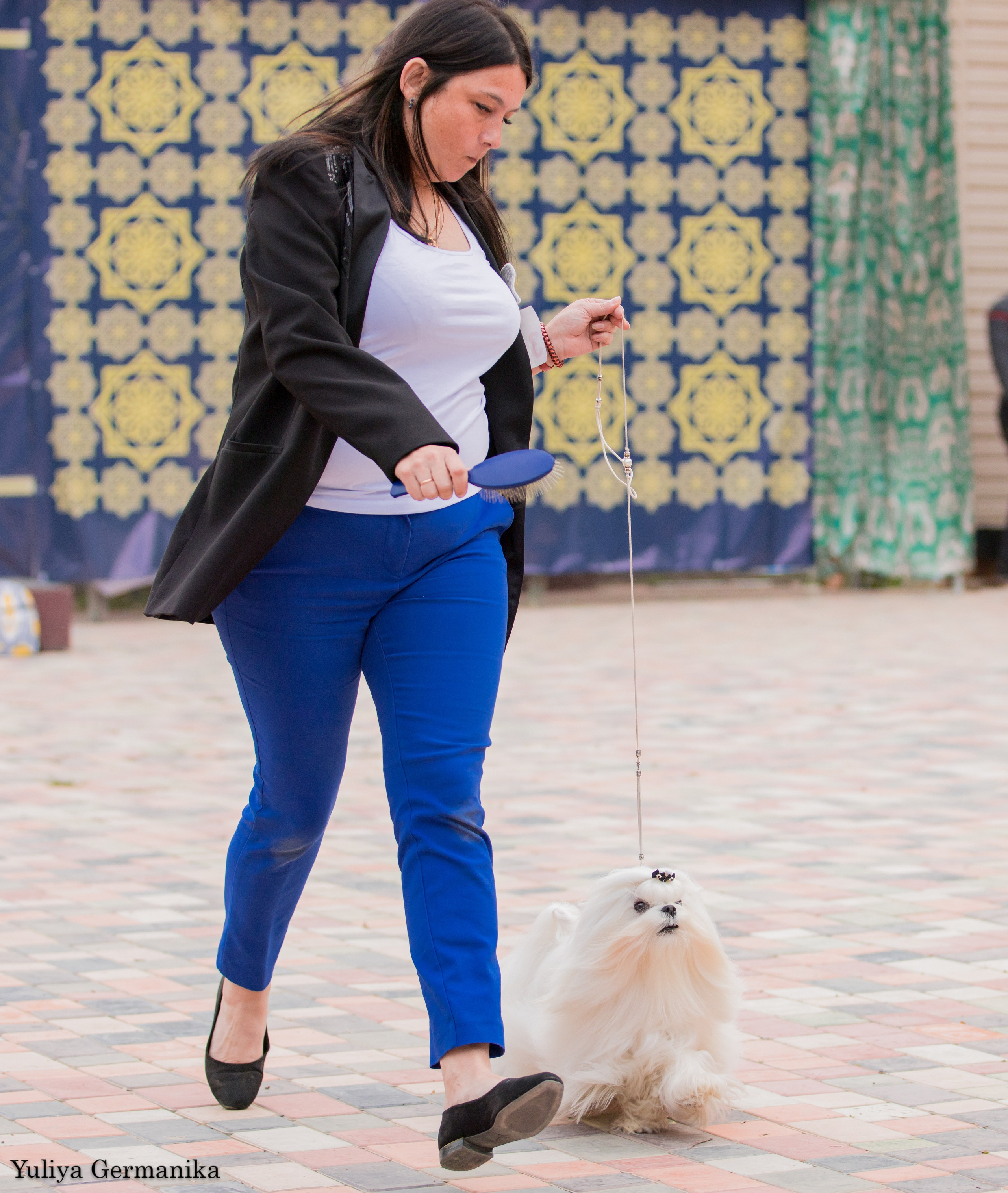 Ташкент 6-8.10.2023 + Алматы 14-15.10.2023. Фотограф-анималист Юлия Германика