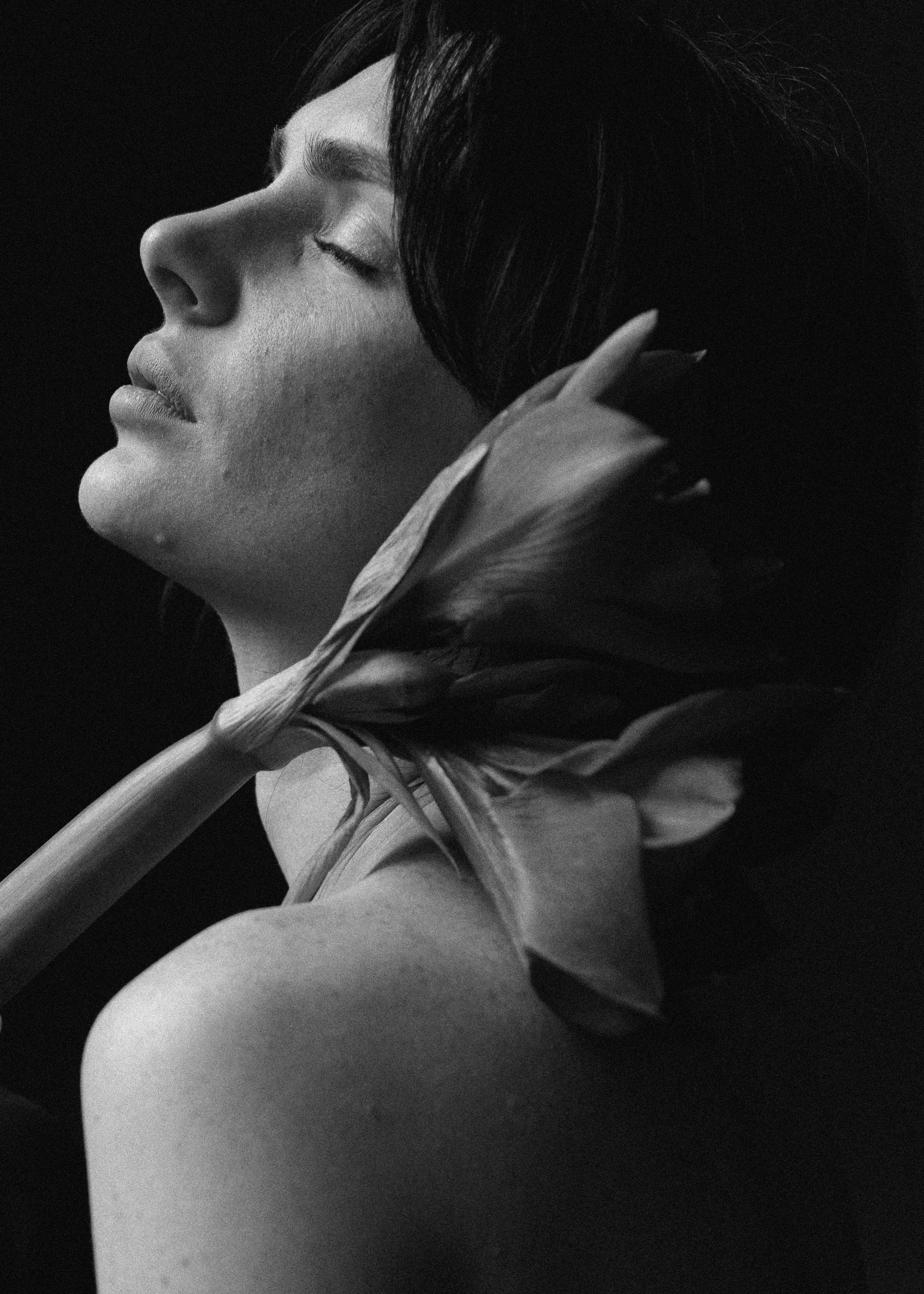 Портфолио. Главная