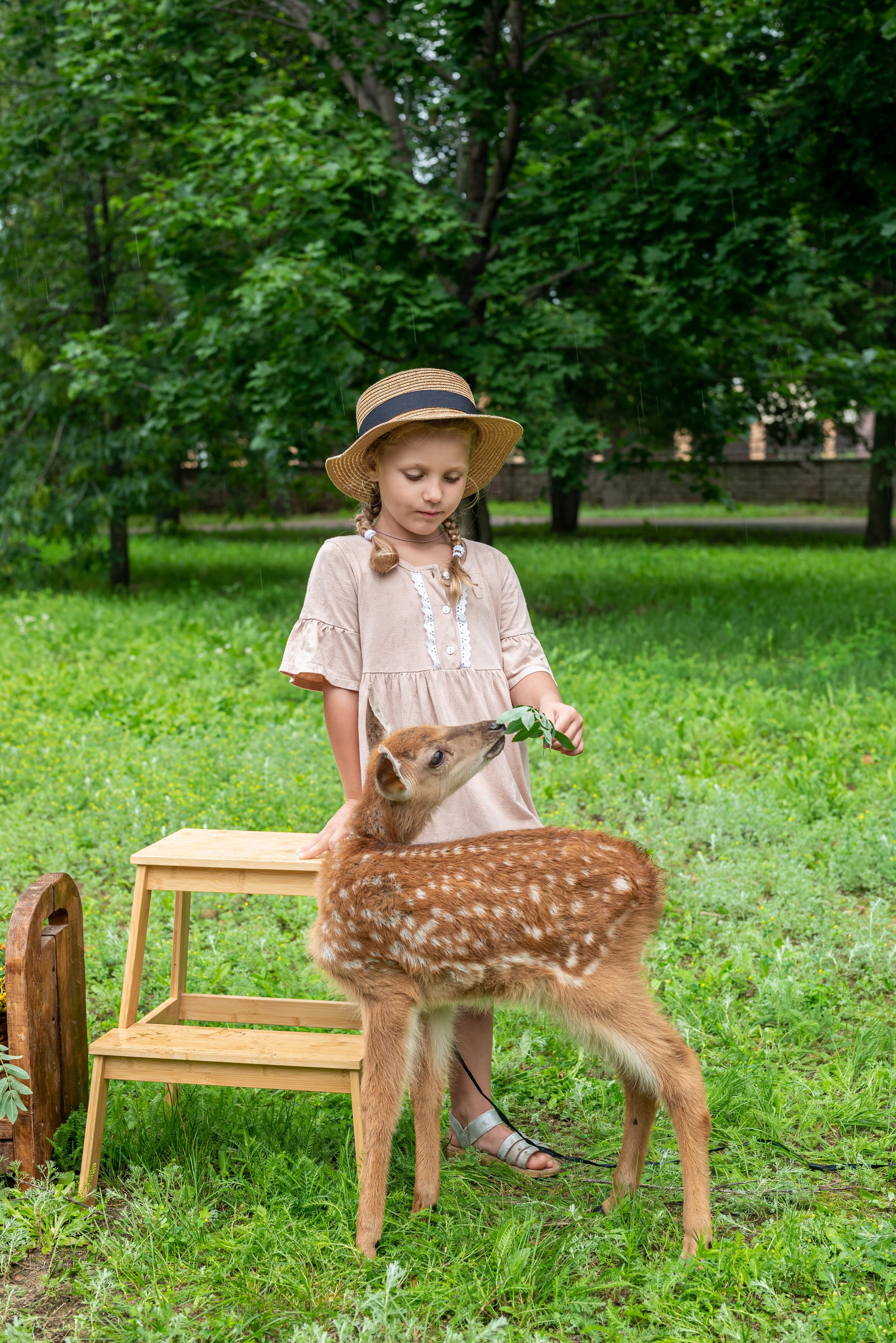 Фотопроект *Оленёнок Бэмби*. Фотограф в городе Салават