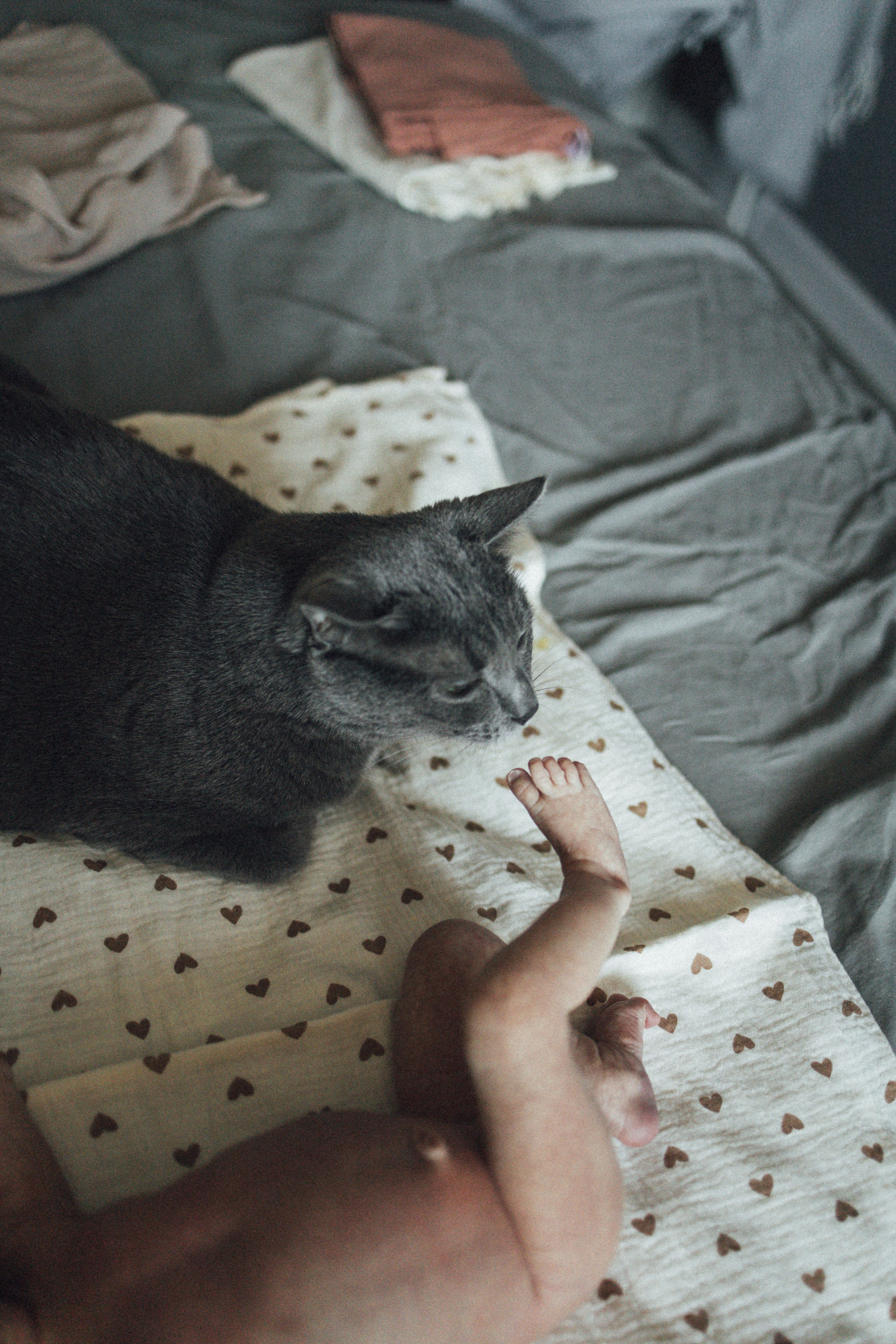 Анюта родилась. Семейный фотограф Елена Баган Волгоград
