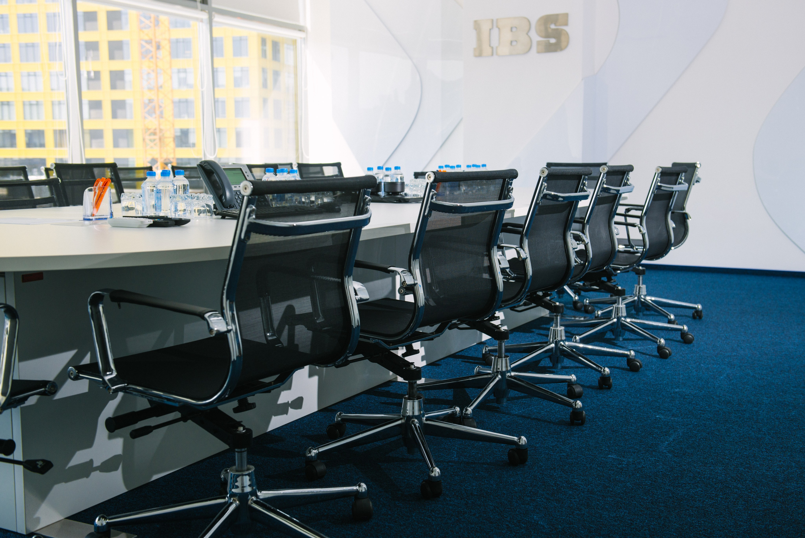 IBS. Фотограф Оля Батист