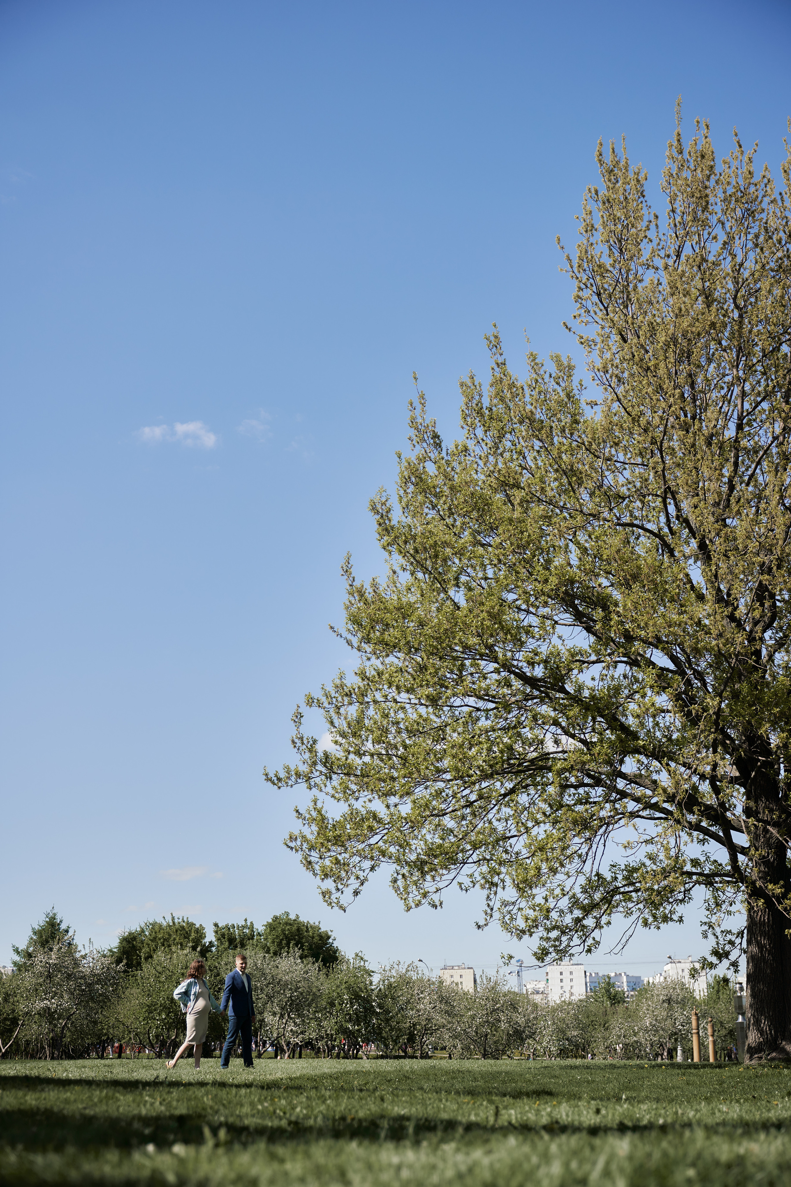 Фотосессия беременности в цветущих садах Коломенского. Фотограф Опарин