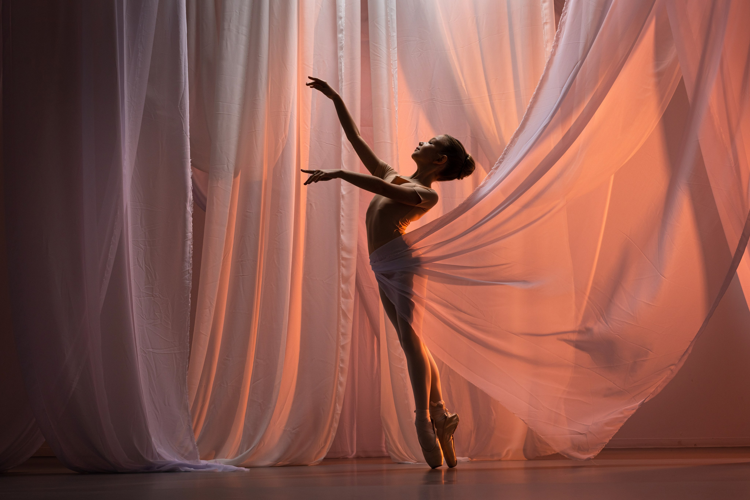 Балетная съёмка в интерьере. Балетный фотограф Алина Ханько — Душа Балета