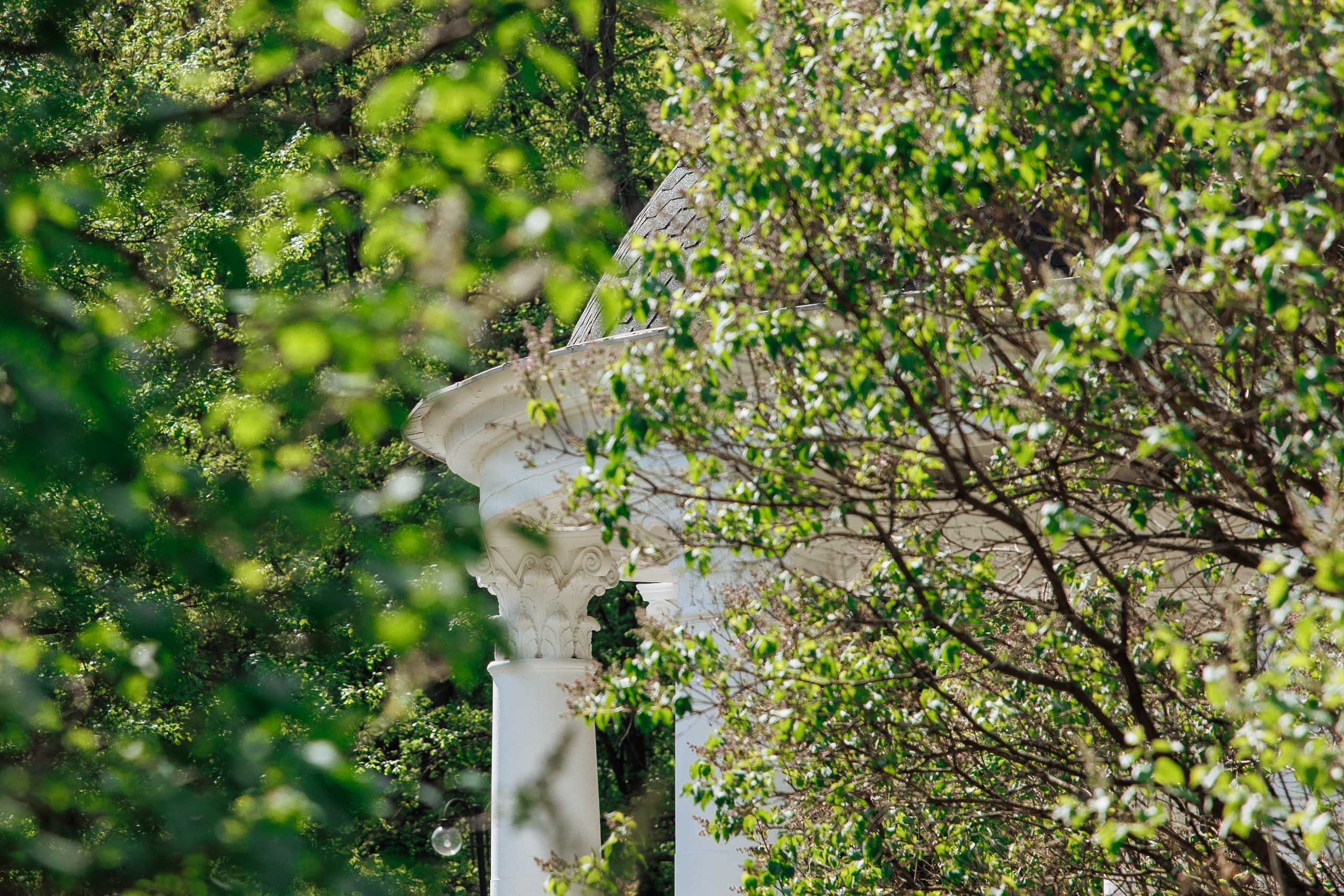 Лиза и Олег. Свадебный и семейный фотограф Ольга Сморжанюк