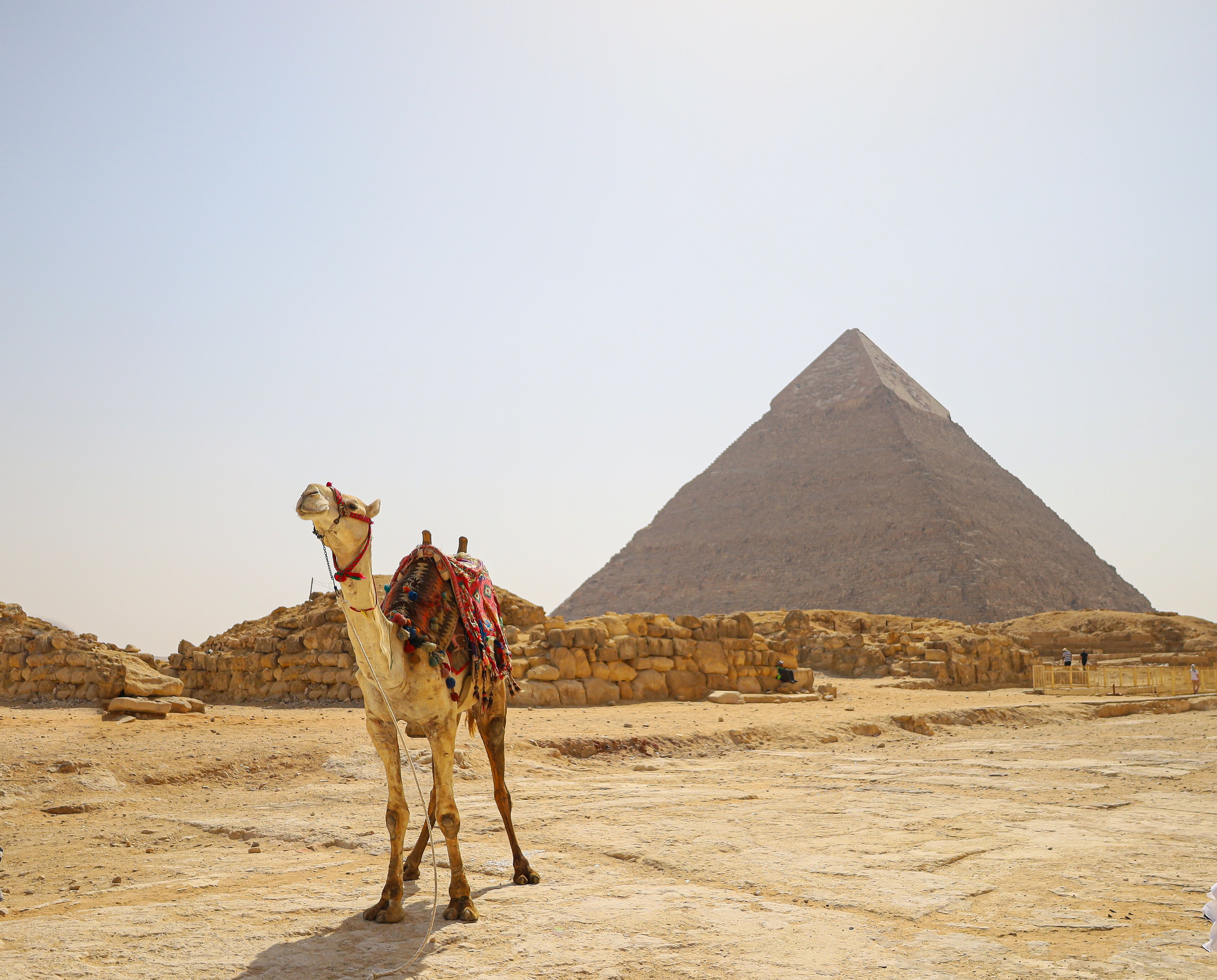 Египет. Фото департамент круизного лайнера Астория Гранде
