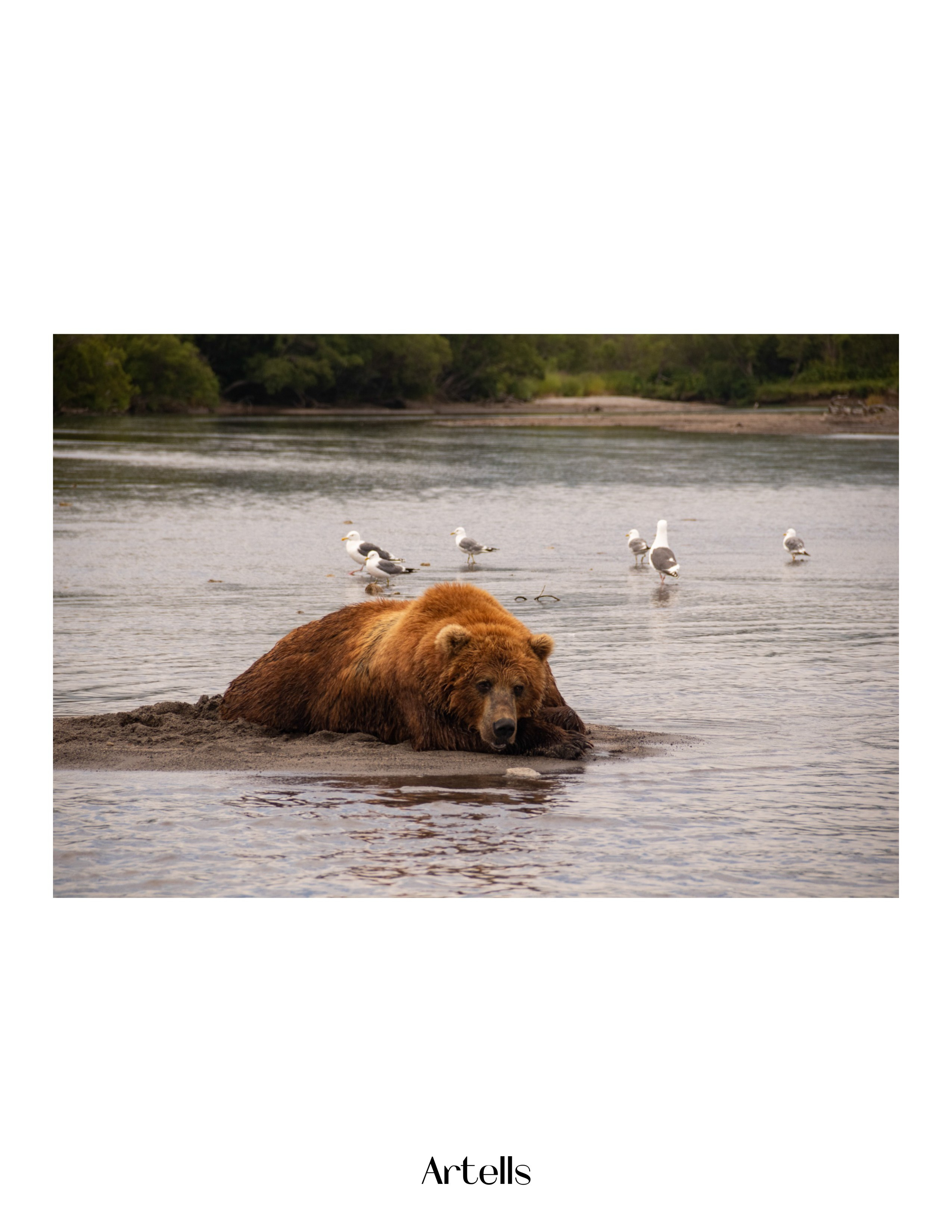 Журнал Artells. Kamchatka peninsula. Наталия Фролова. Фотограф. Москва