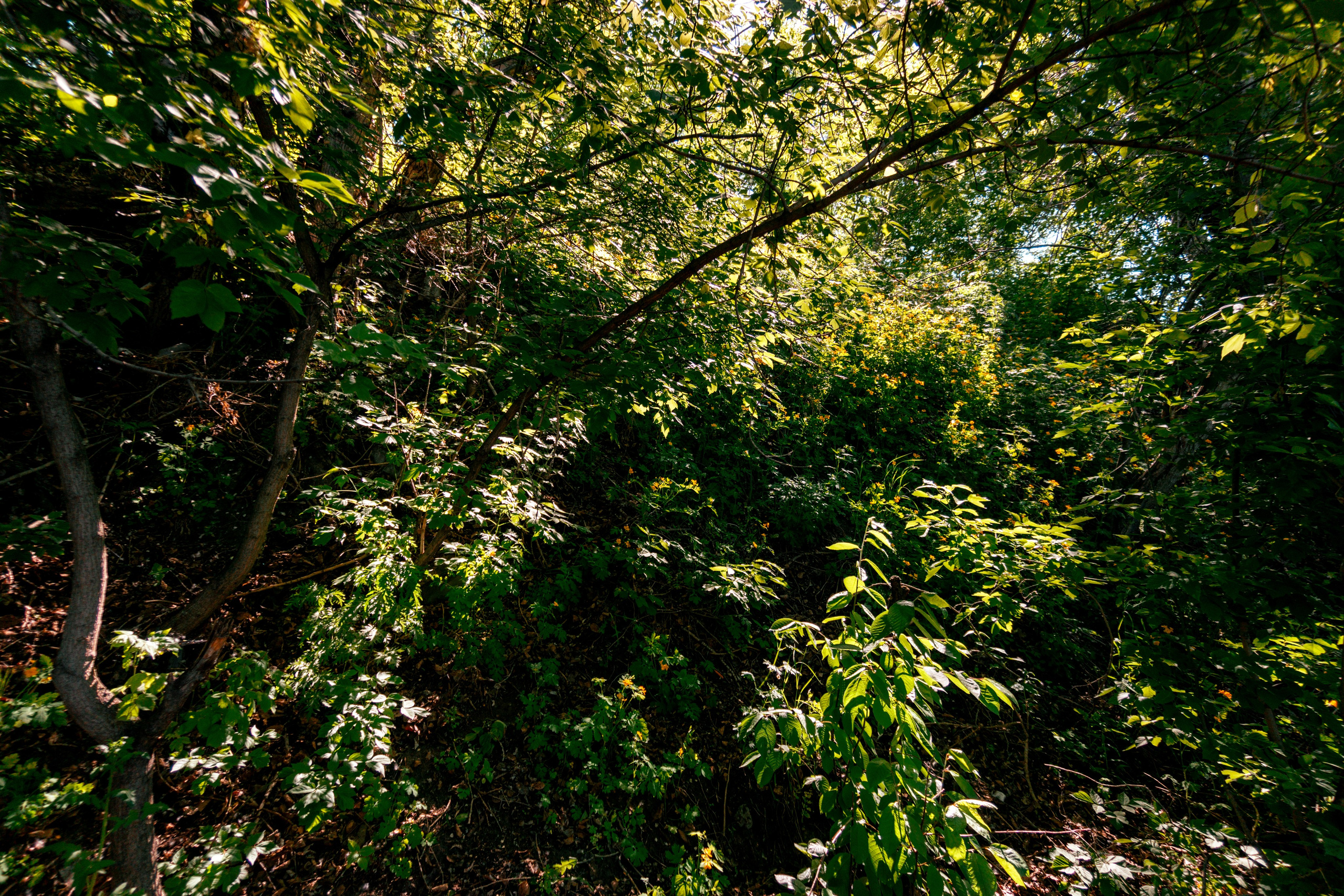 05.06.2025 | Красноярск. Kuznetsov | Фотограф в Красноярске