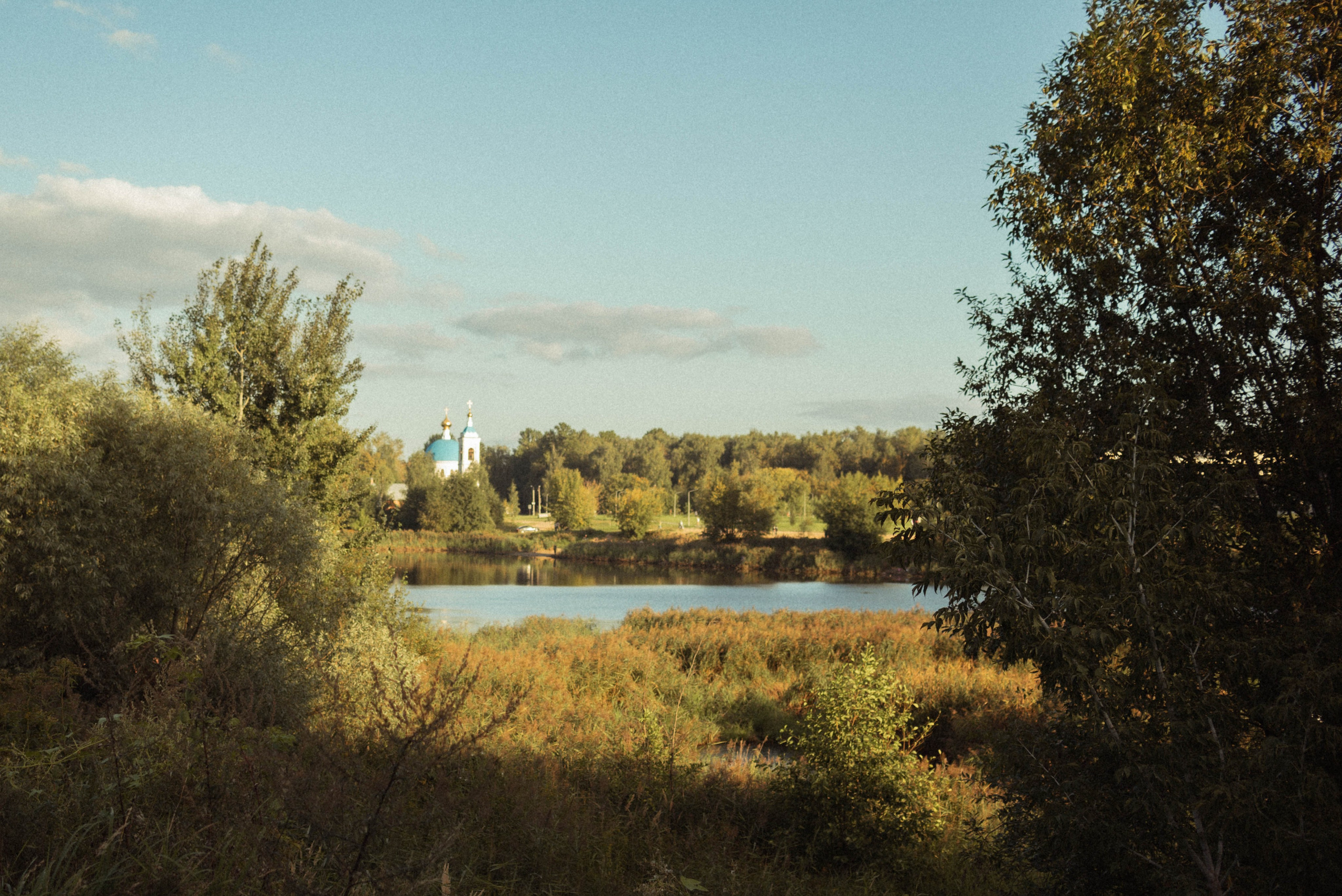 Семейная фотосессия на природе. Семейный фотограф в Железнодорожном Масаева Елена