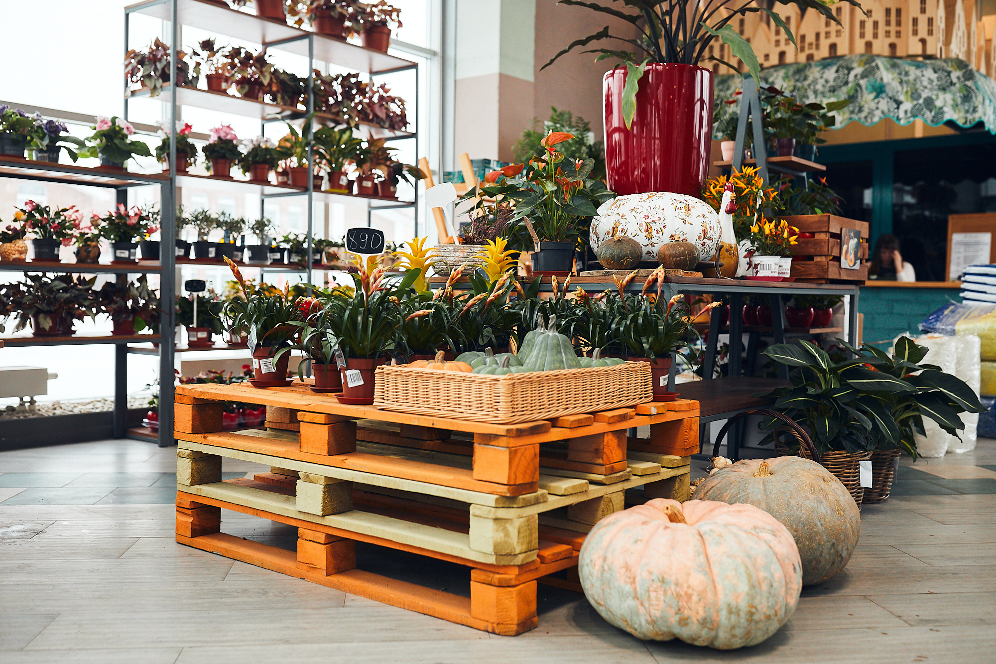 Студия флористики «Зелень». Бизнес портрет Аэросъемка Интерьерная съемка Тюмень