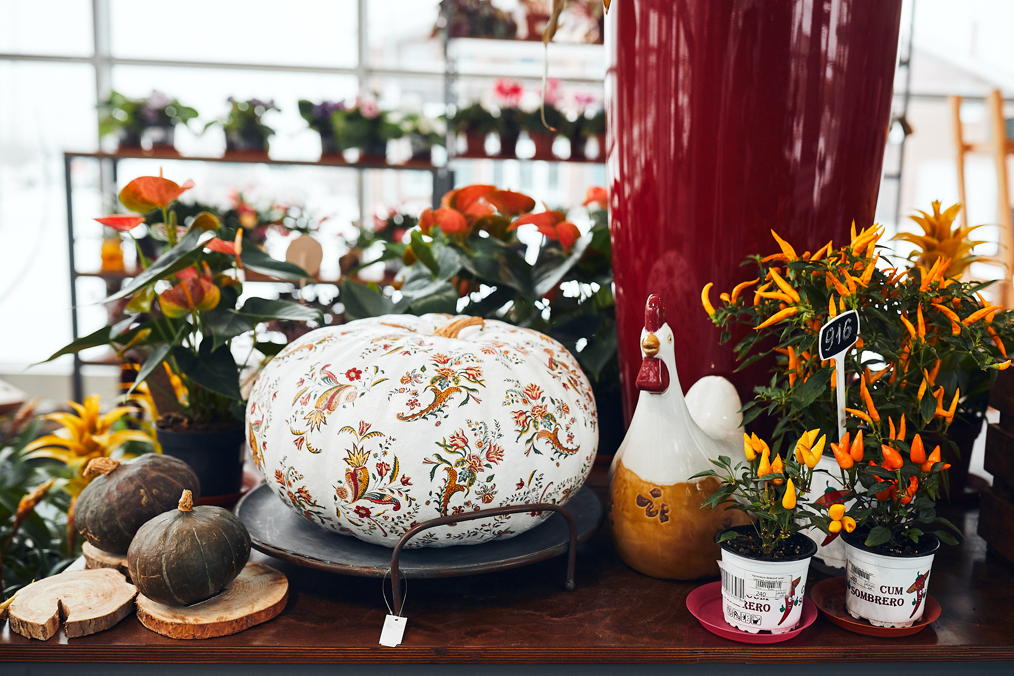 Студия флористики «Зелень». Бизнес портрет Аэросъемка Интерьерная съемка Тюмень